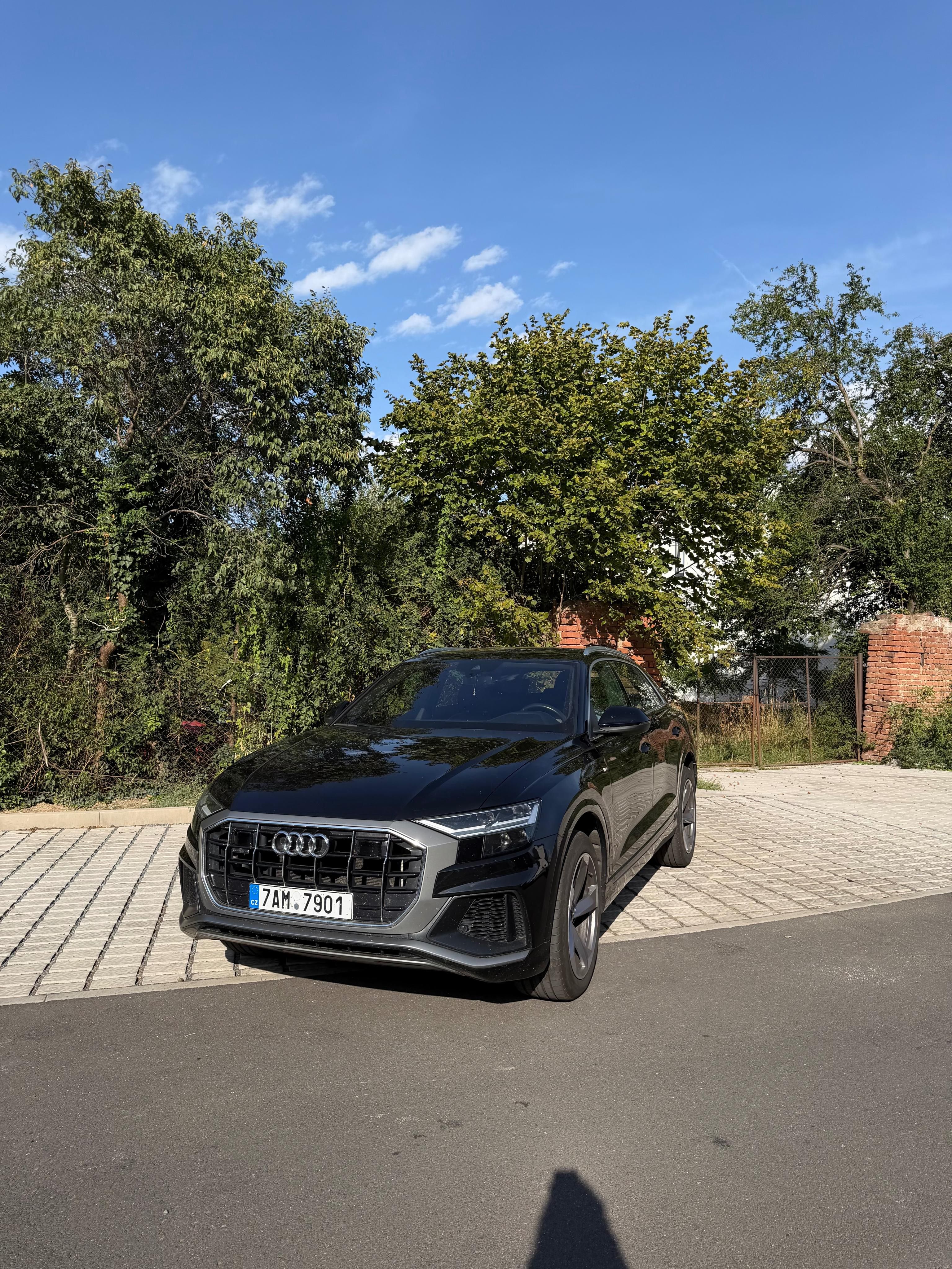 Audi Q8, 50 TDI 210 kW S-LINE Quattro