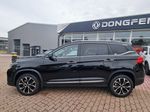 Dongfeng T5, FORTHING T5 Exclusive