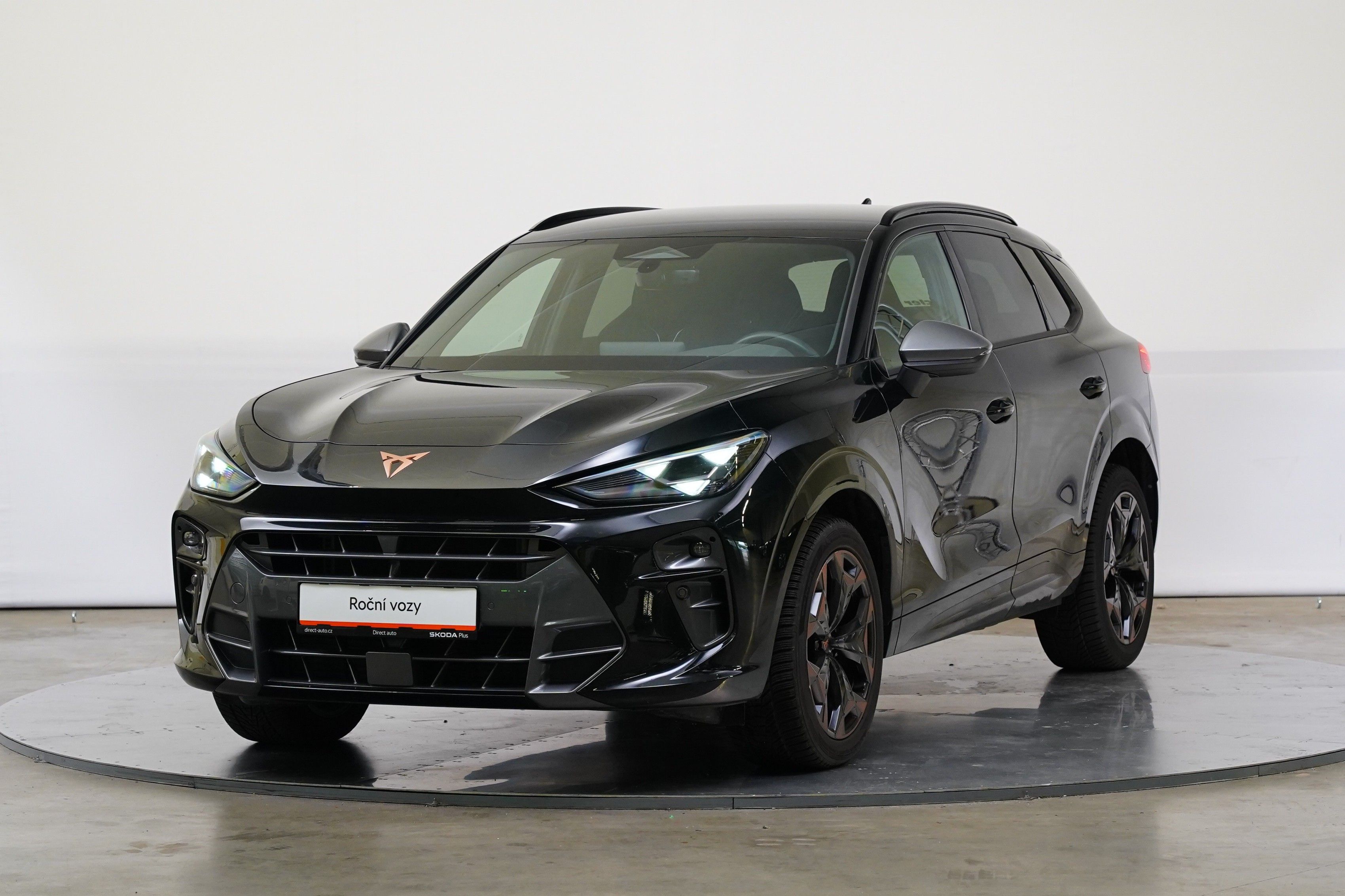 Cupra Terramar, 2.0 TSI 150 kW DSG 4x4