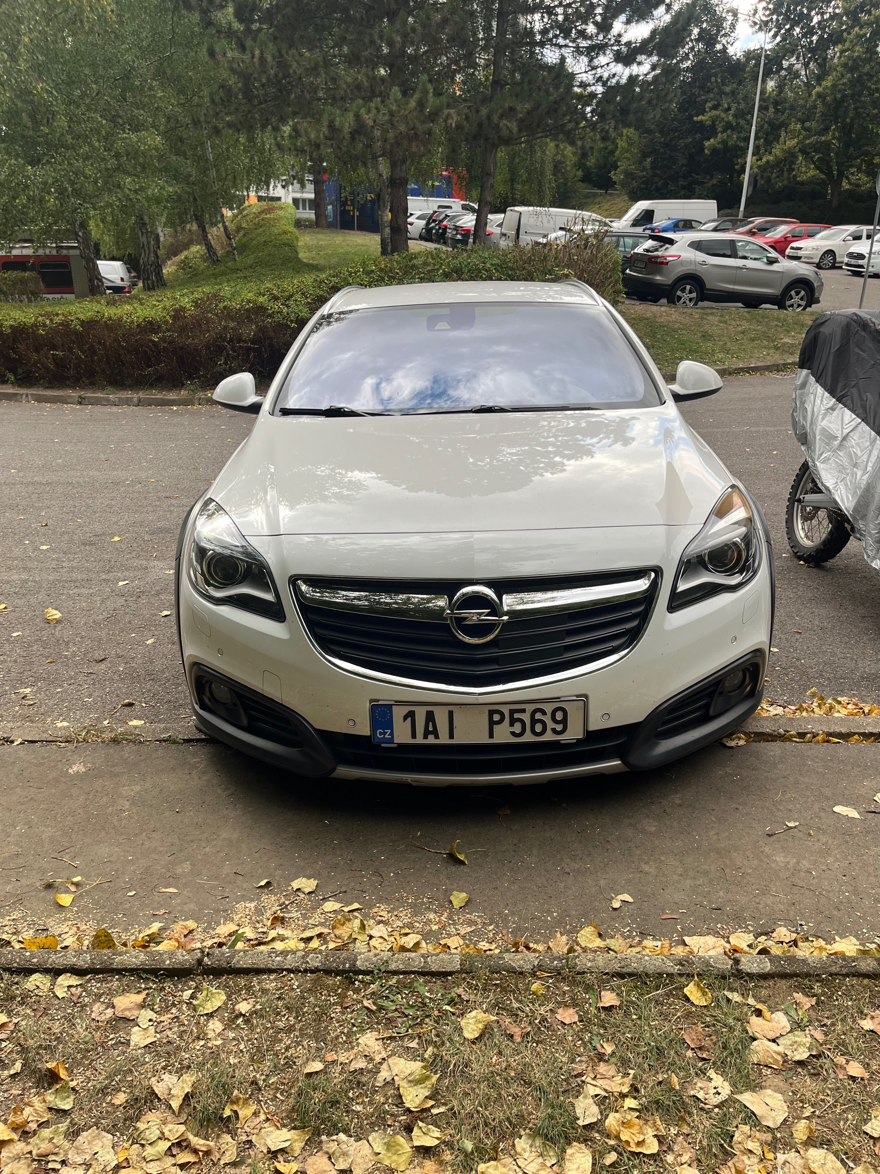 Opel Insignia, Opel insignia 4x4 - fotka 3