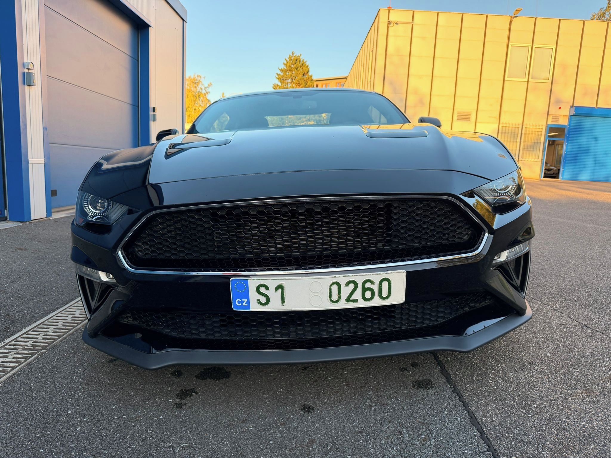 Ford Mustang, Bullitt 5.0 V8, STEEDA, DPH - fotka 5