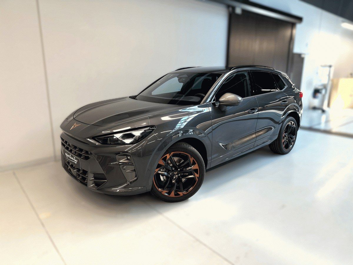 Cupra Terramar, 2.0 TSI 204k DSG 4WD *DCC*INT.