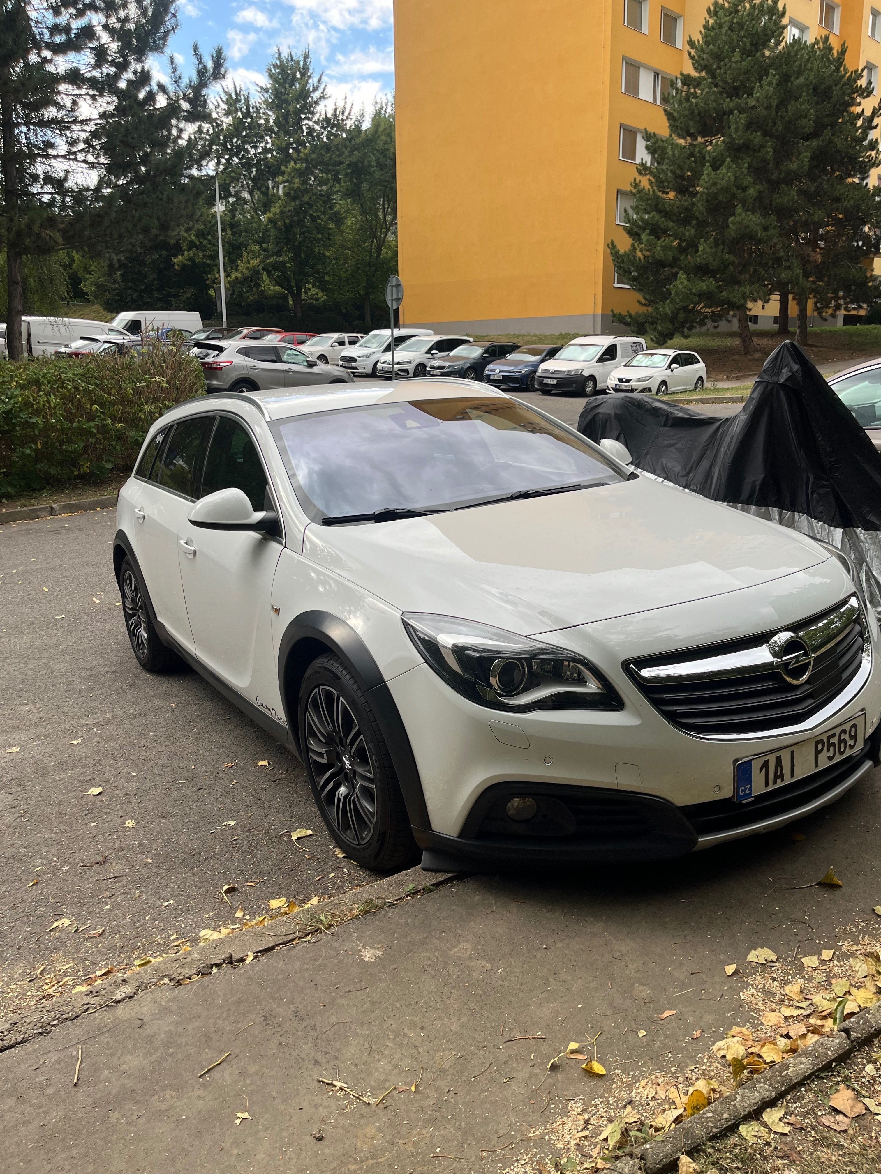 Opel Insignia, Opel insignia 4x4 - fotka 4