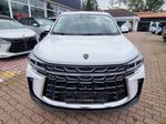 Dongfeng T5, FORTHING T5 Exclusive