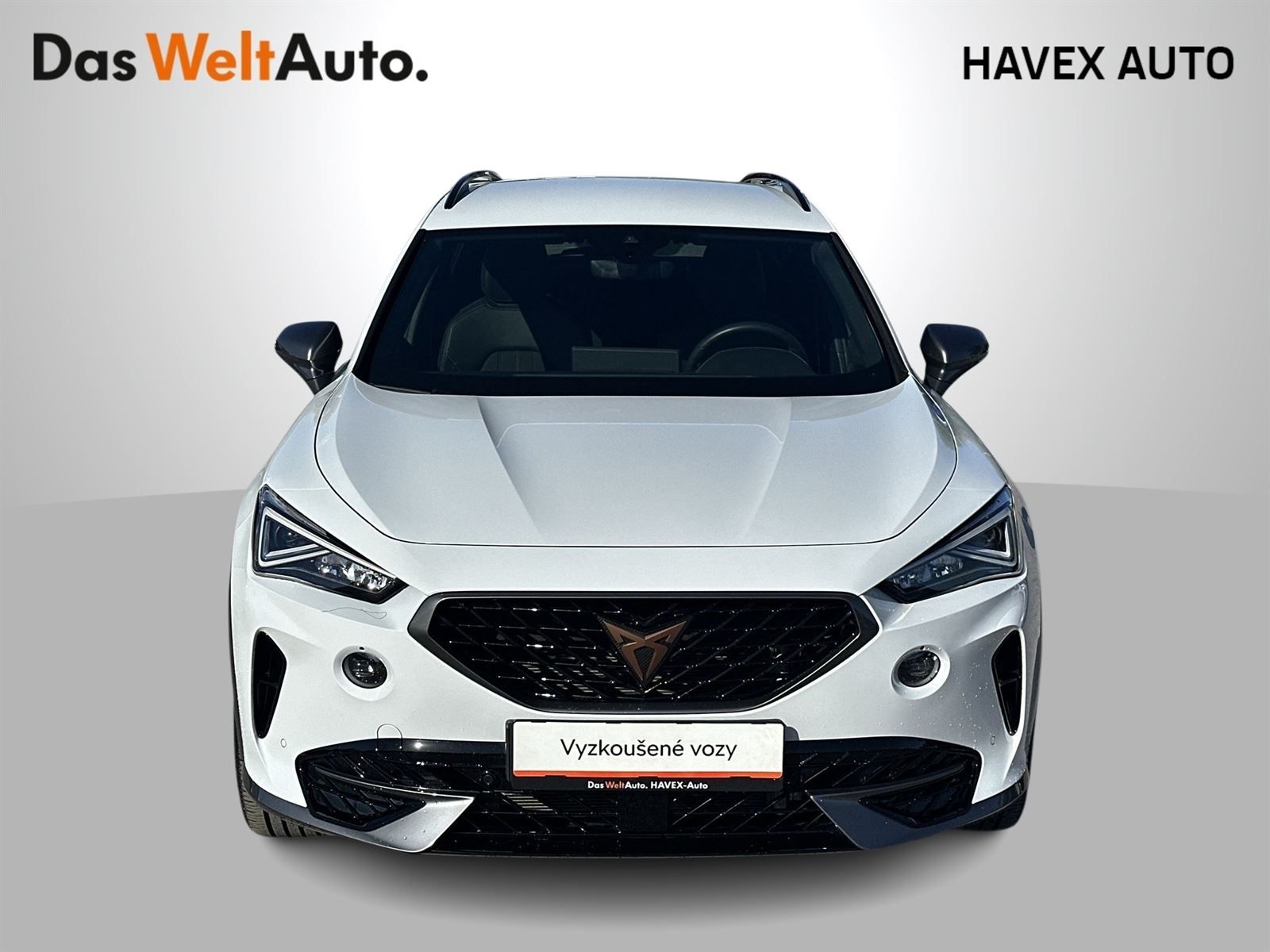 Cupra Formentor, 1.5 TSI DSG - fotka 4