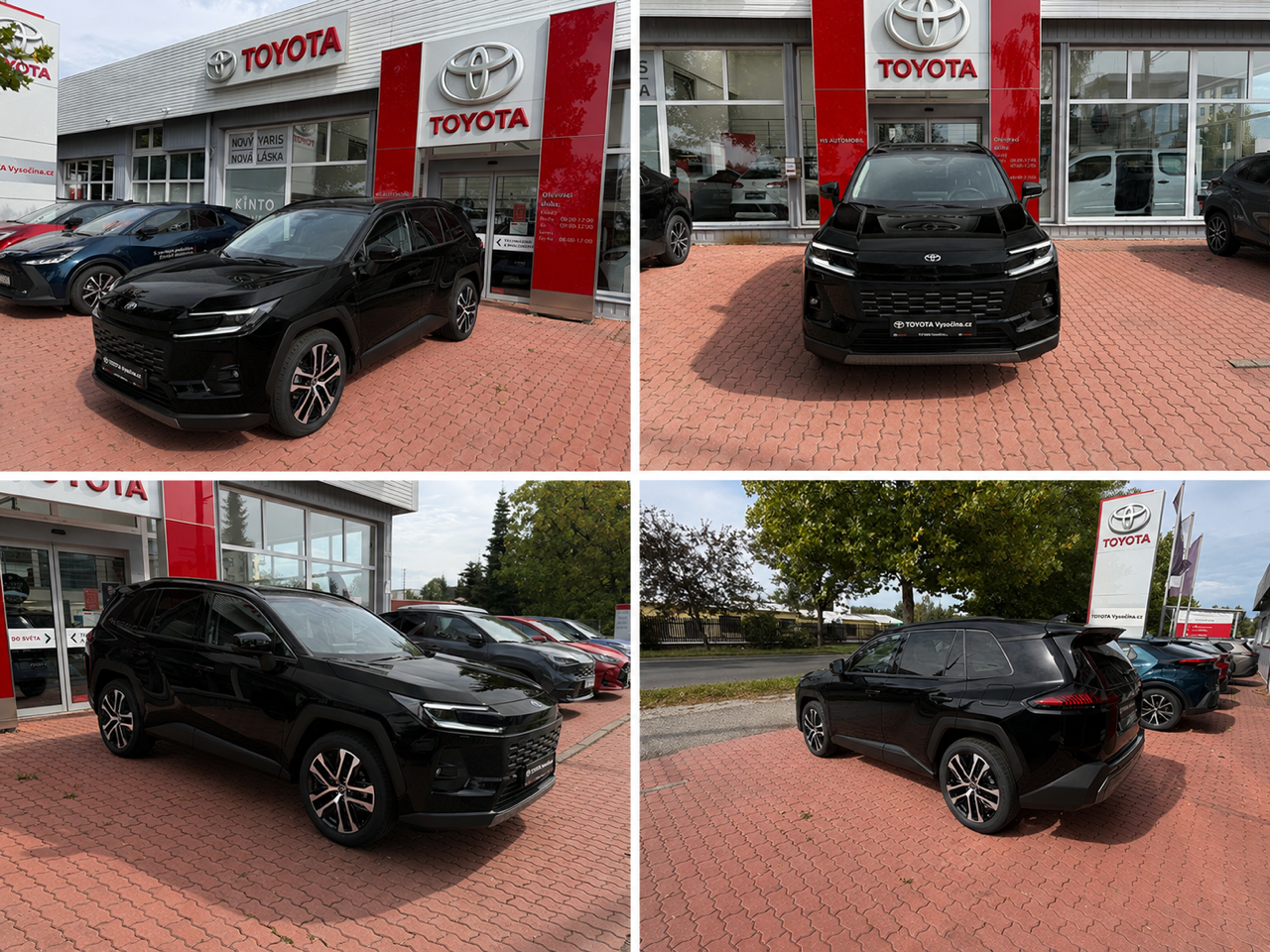 Toyota Rav4, 2,5 Hybrid 4x4 Executive - fotka 2