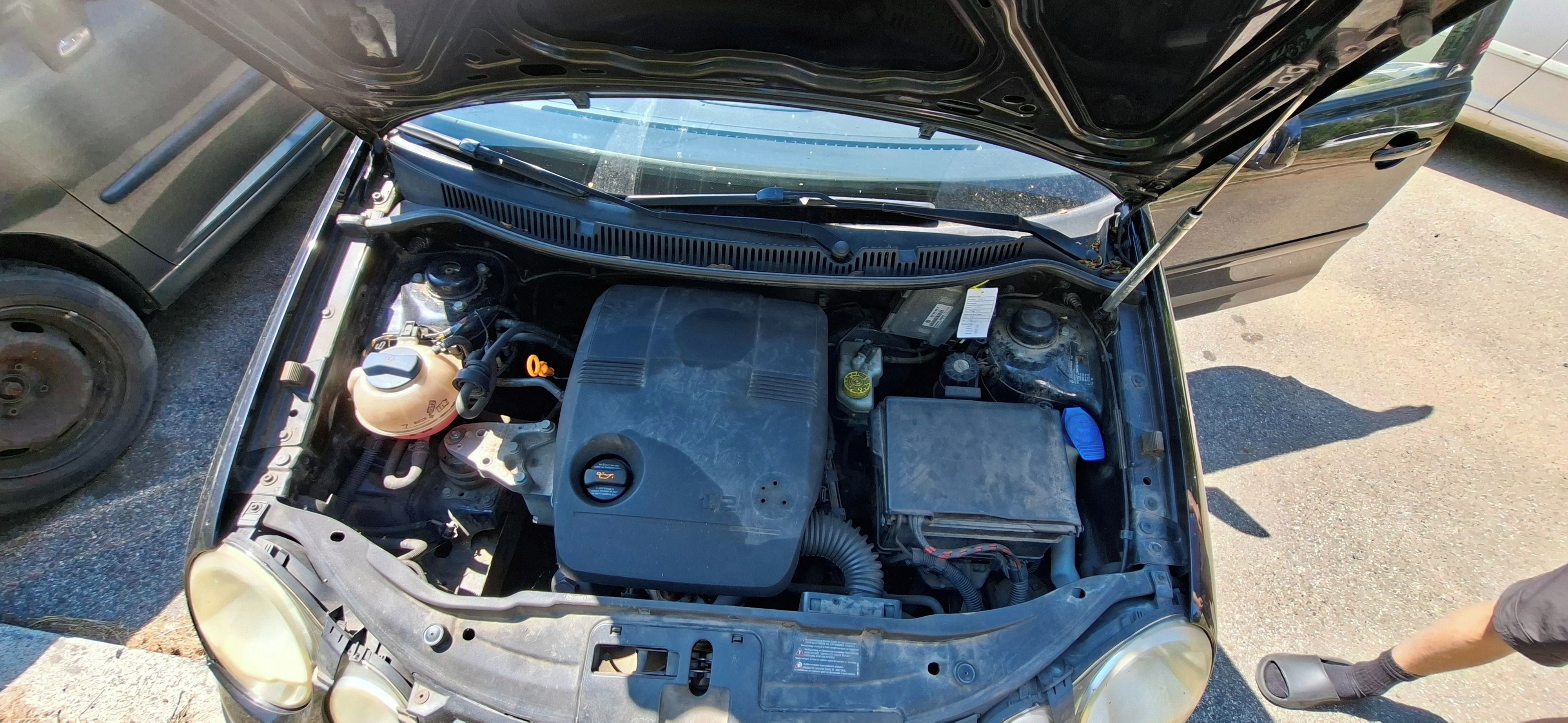 Volkswagen Polo, VW Polo - fotka 2