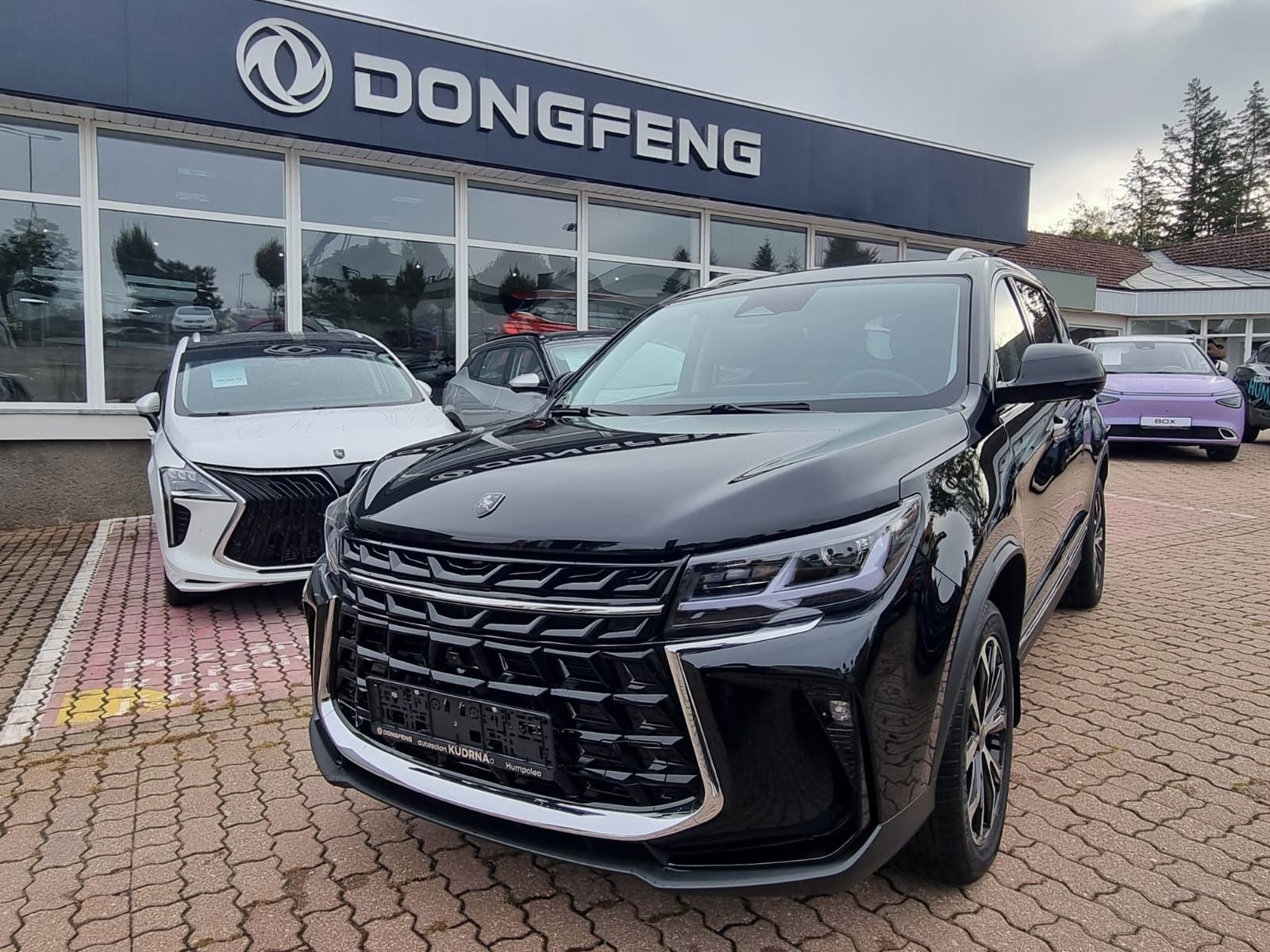 Dongfeng T5, FORTHING T5 Exclusive