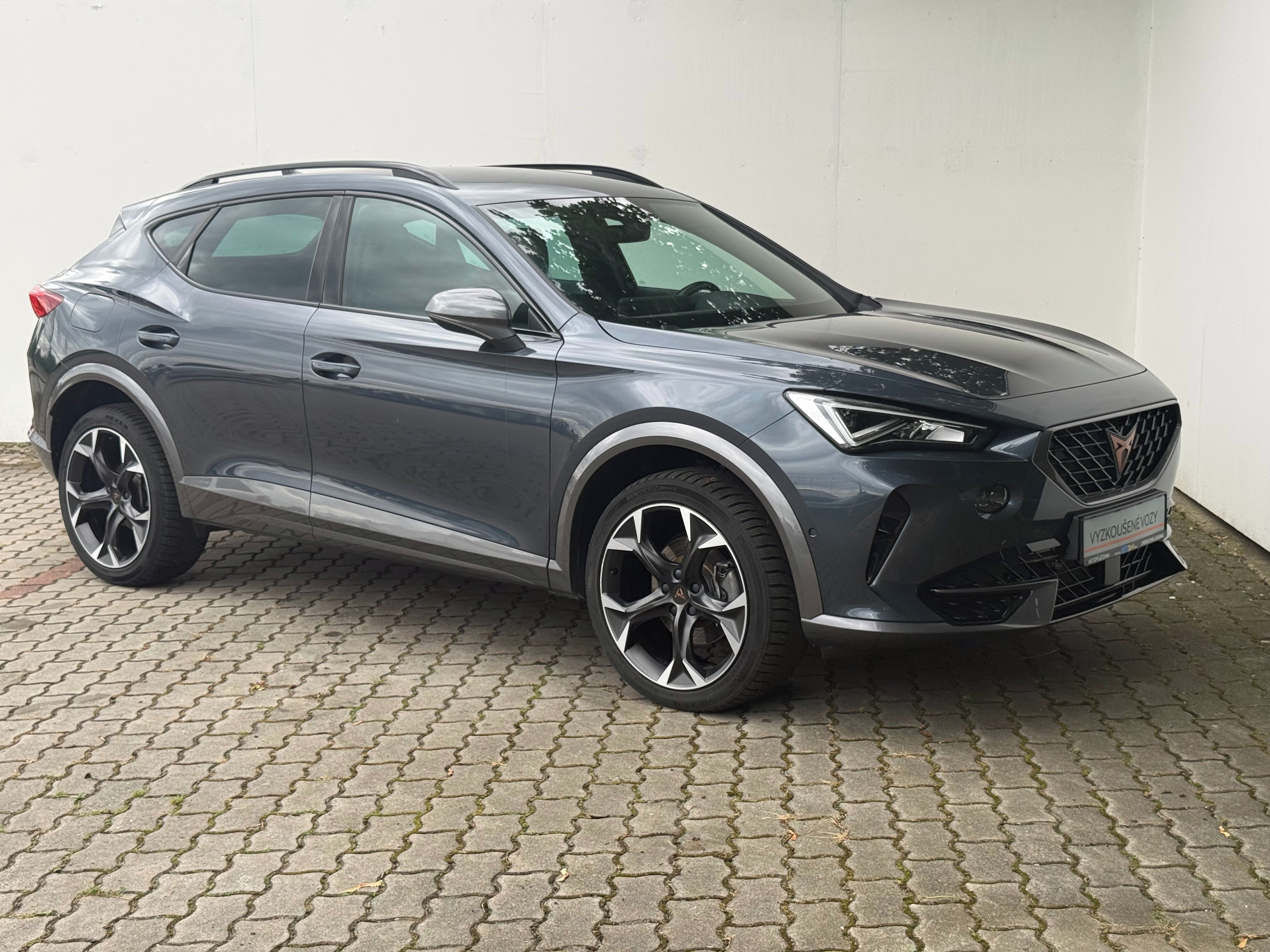 Cupra Formentor, 2,0 TSI / 140 kW 4x4 DSG - fotka 3