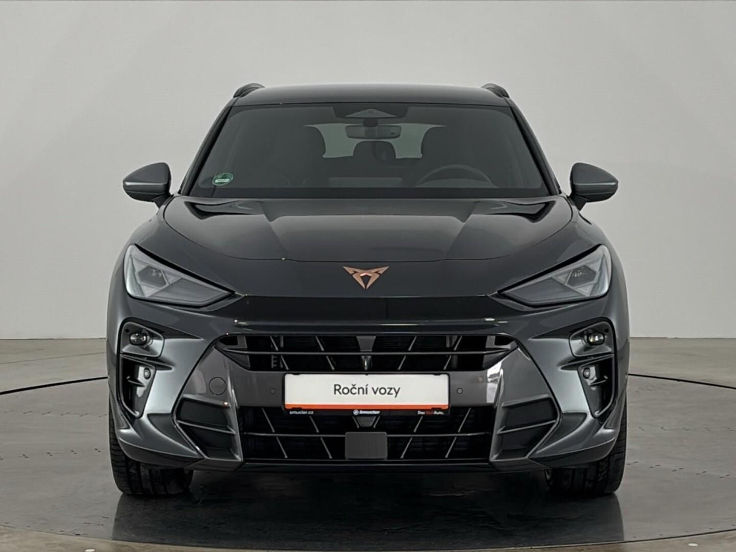 Cupra Terramar, 2.0 TSI / 150 kW 4WD DSG - fotka 4