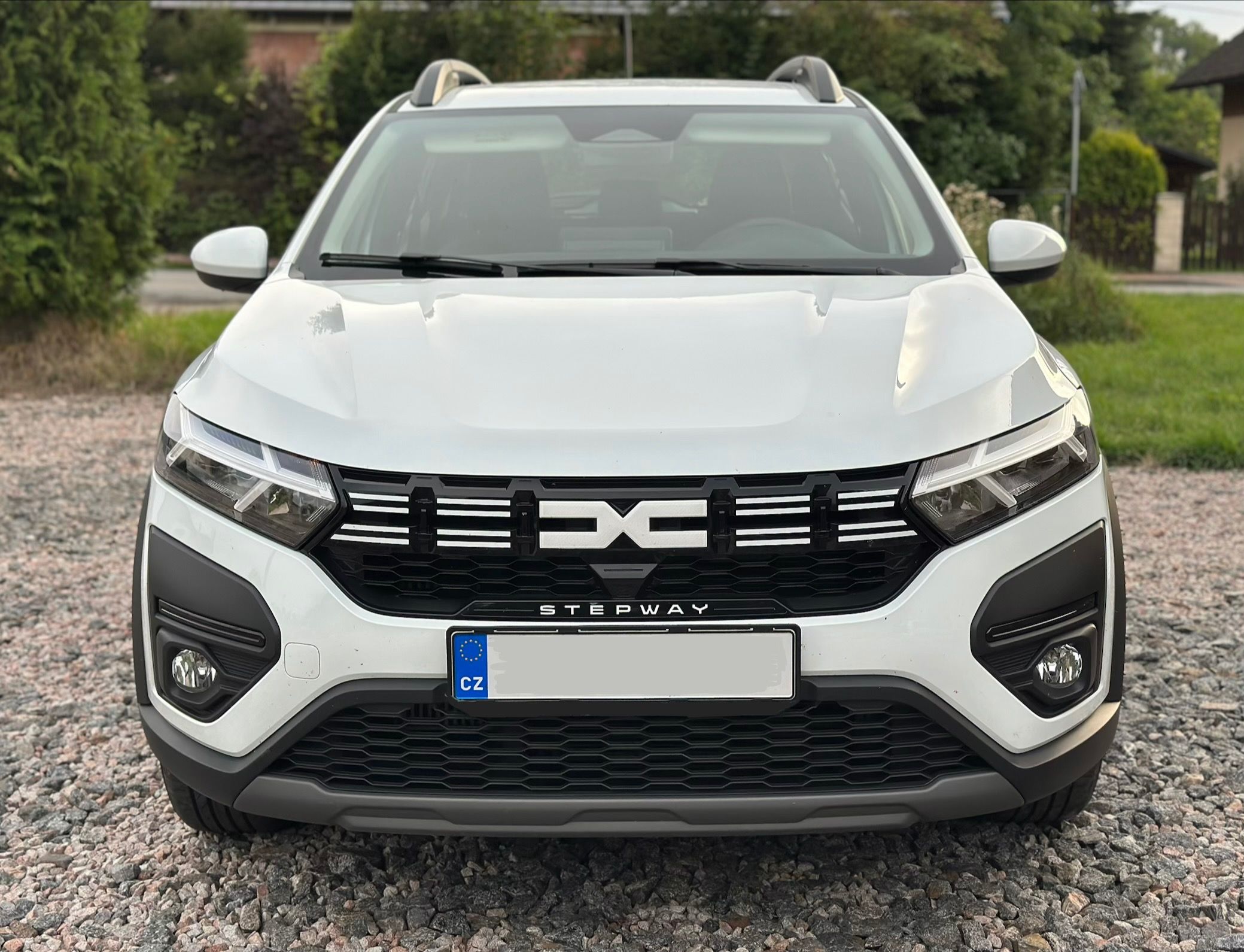 Dacia Sandero, Stepway 1.0tce, benzín - fotka 2