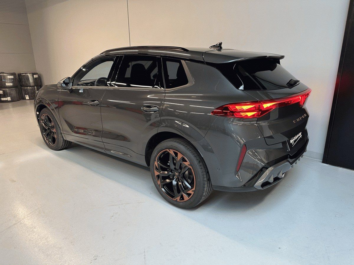 Cupra Terramar, 2.0 TSI 204k DSG 4WD *DCC*INT. - fotka 4
