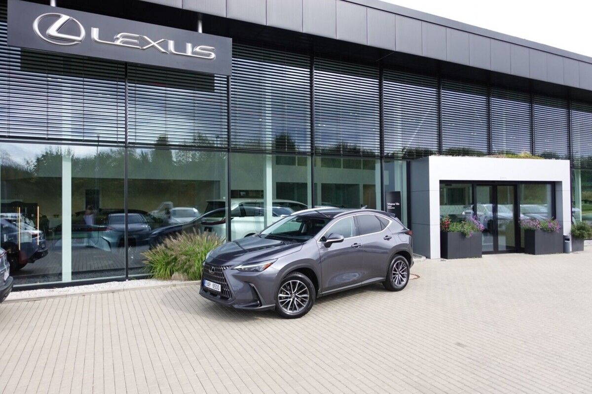 Lexus NX 350h, NX350h Business Plus 4x4