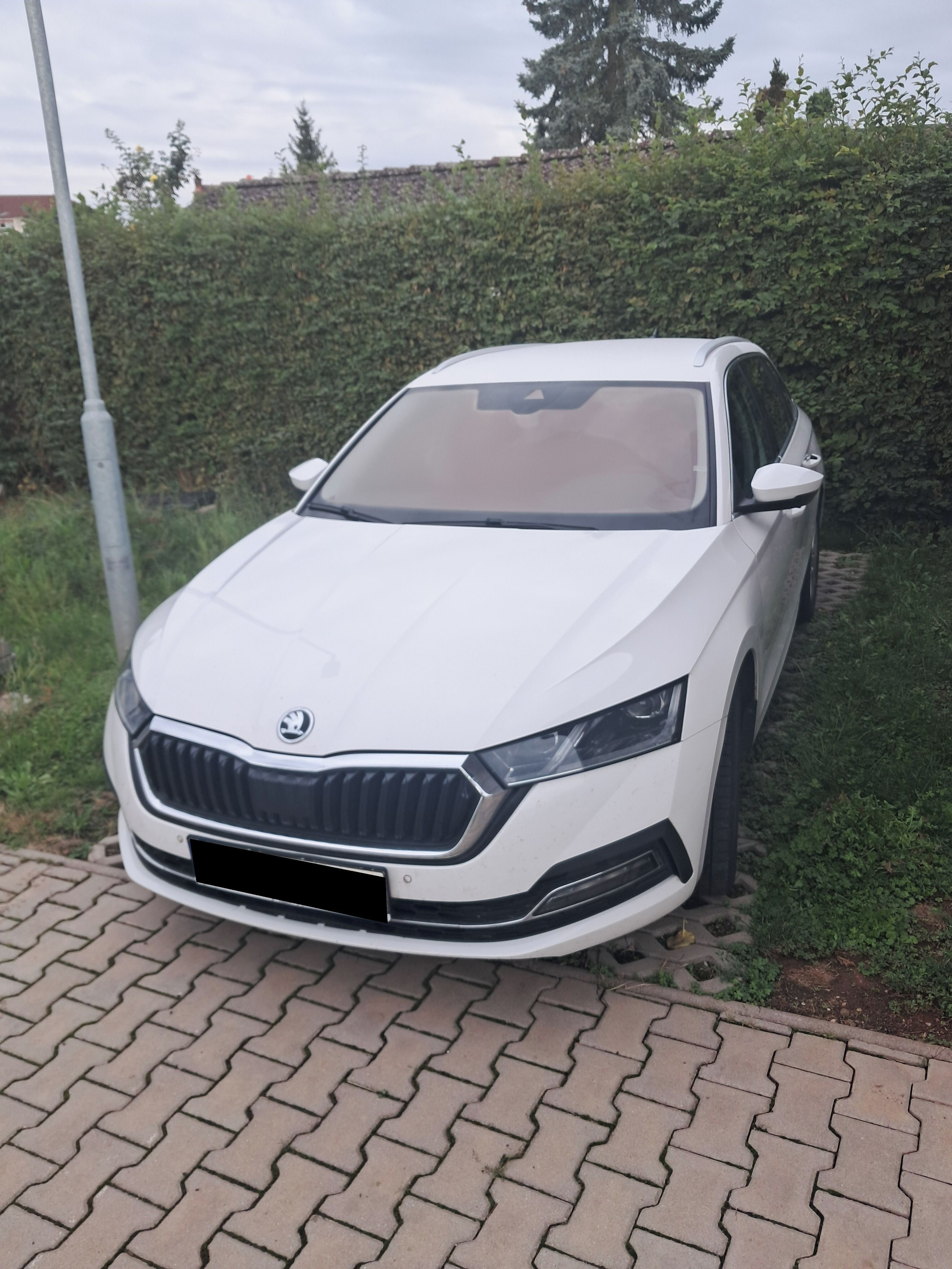 Škoda Octavia, Škoda Octavia - fotka 2