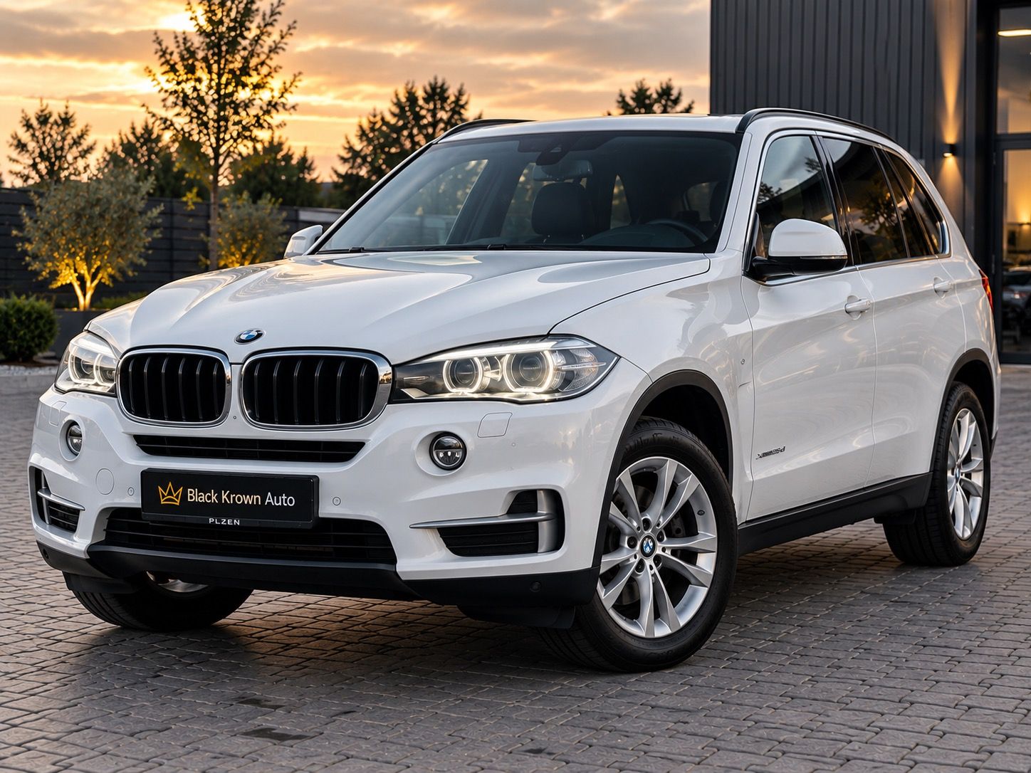 BMW X5, 25D*X-Drive*ČR*Výhřev*