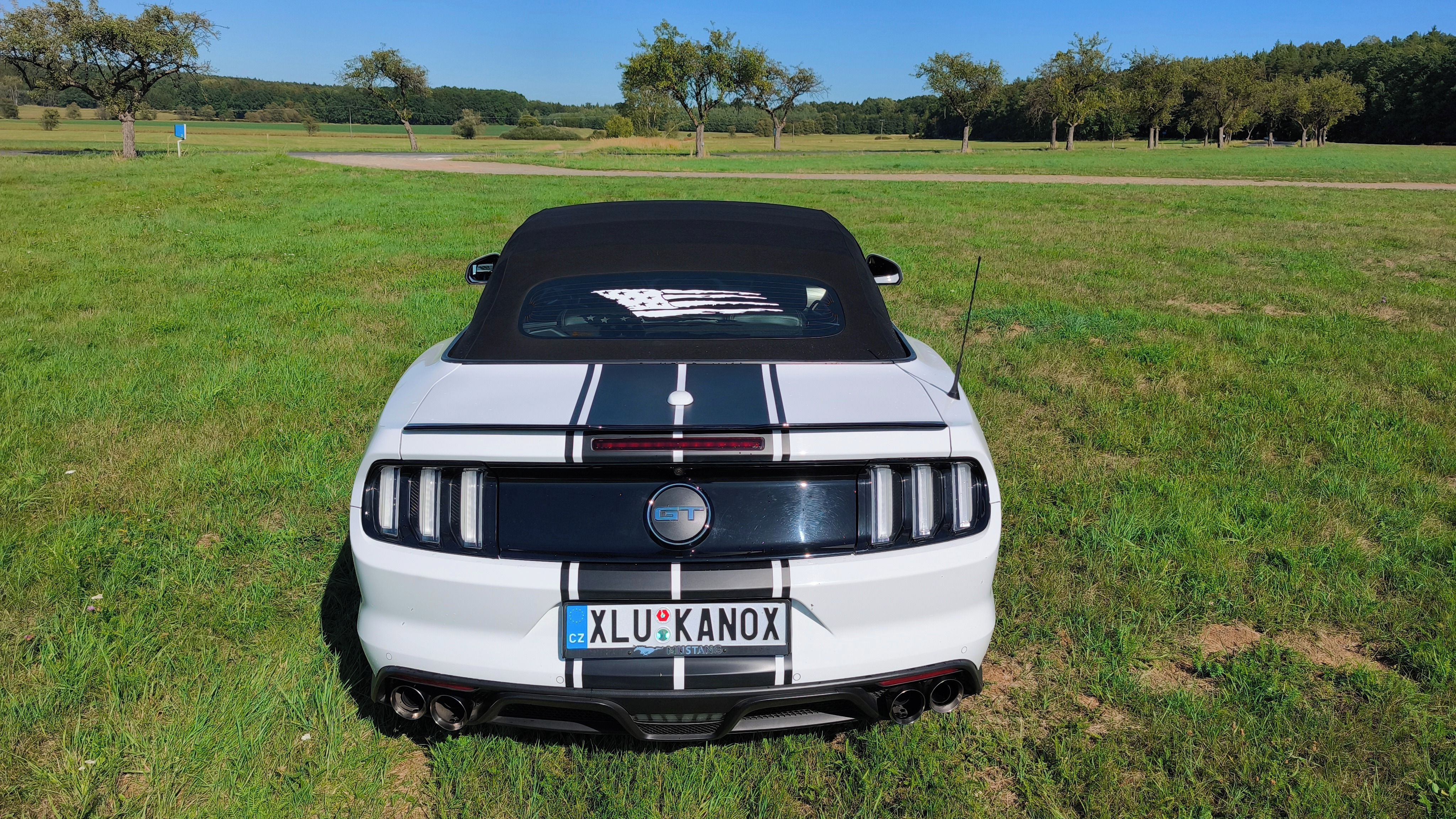 Ford Mustang, 5.0V8 - fotka 4