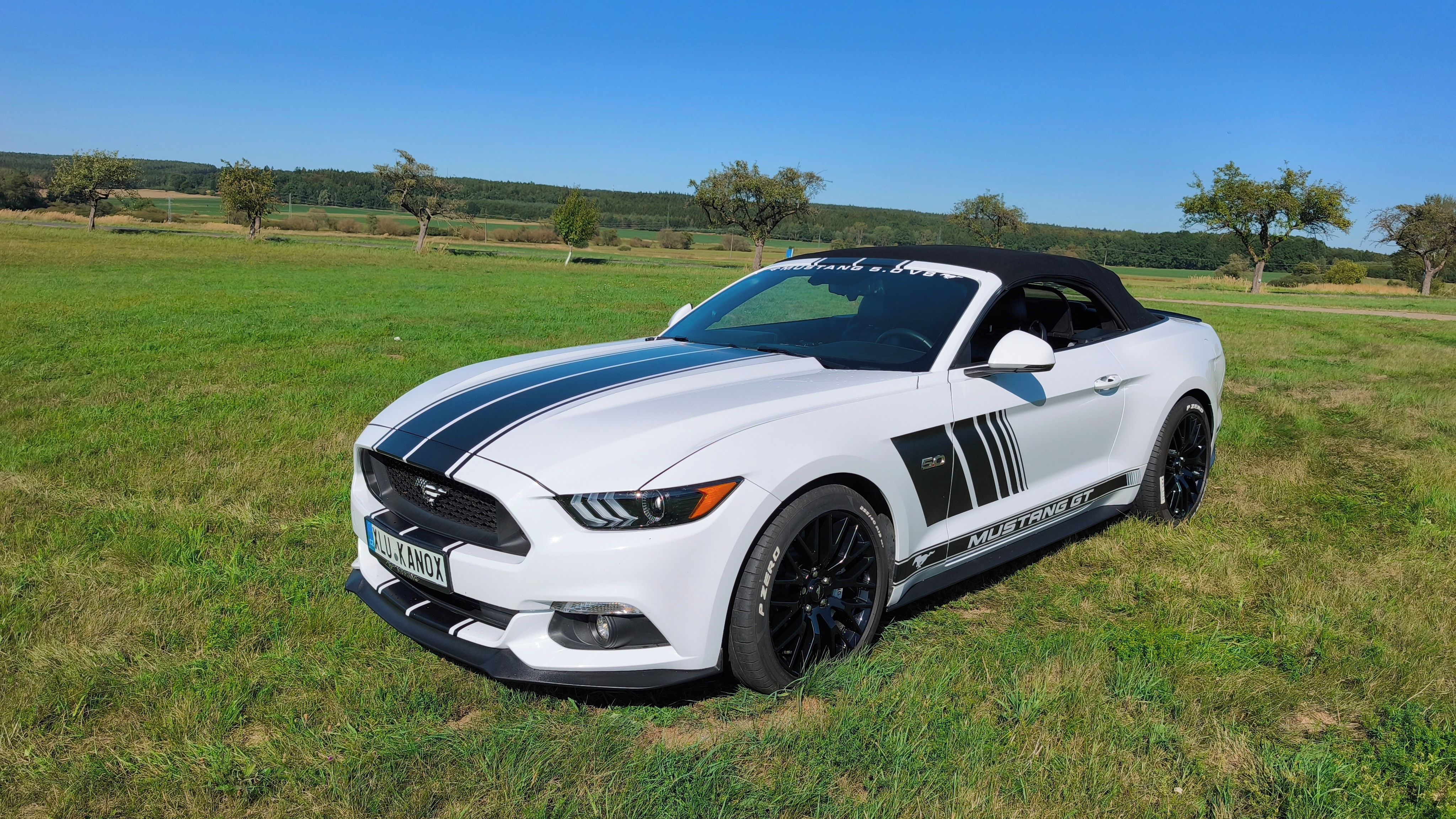 Ford Mustang, 5.0V8 - fotka 2
