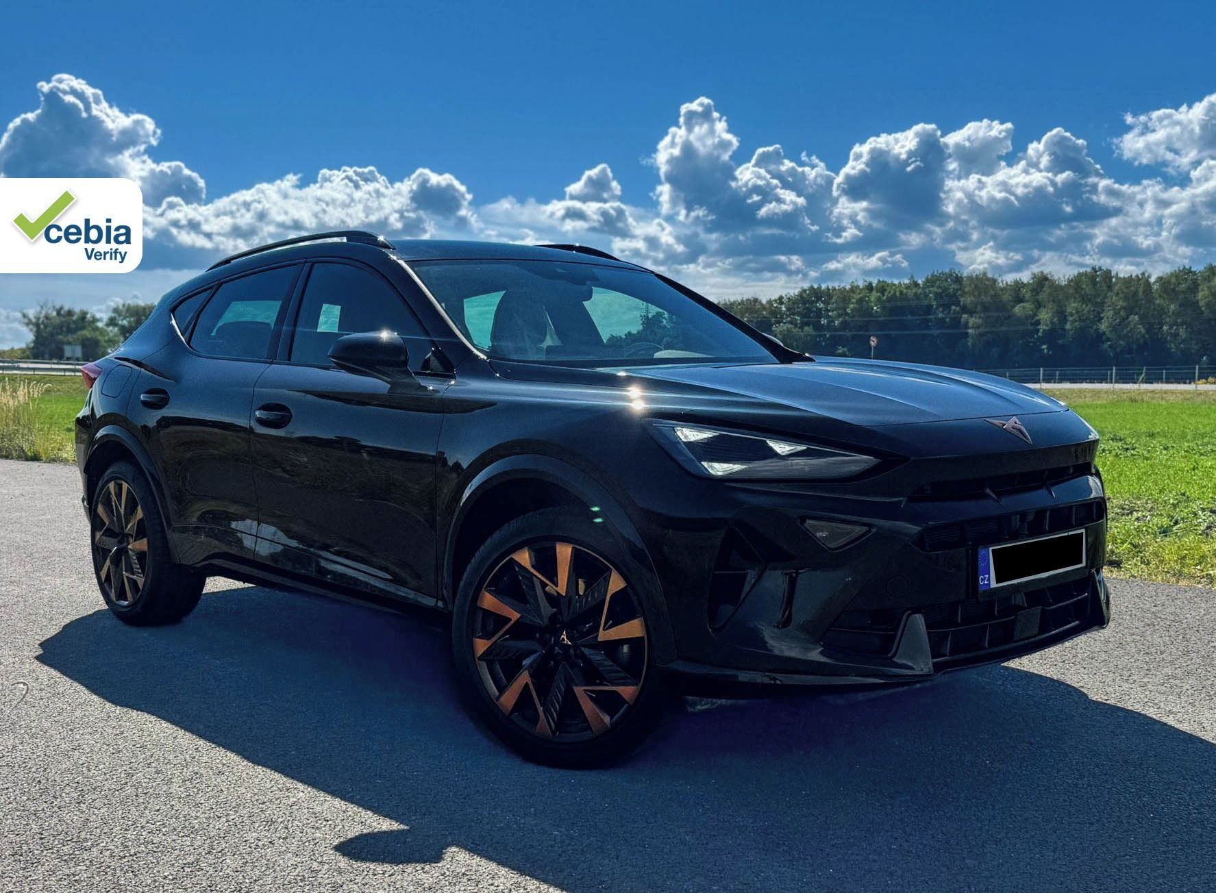 Cupra Formentor, 2.0 TDI, DSG, ZÁRUKA
