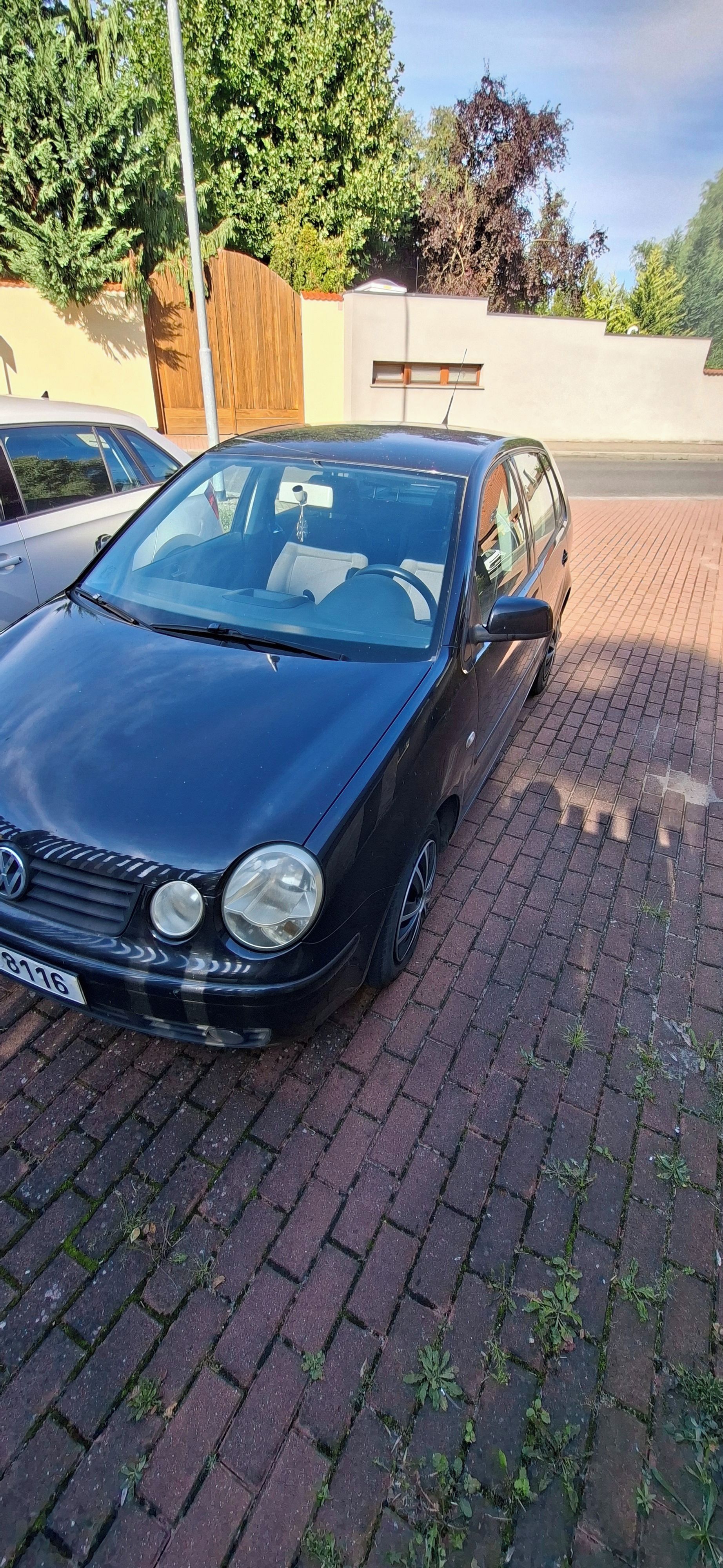 Volkswagen Polo, VW Polo - fotka 5