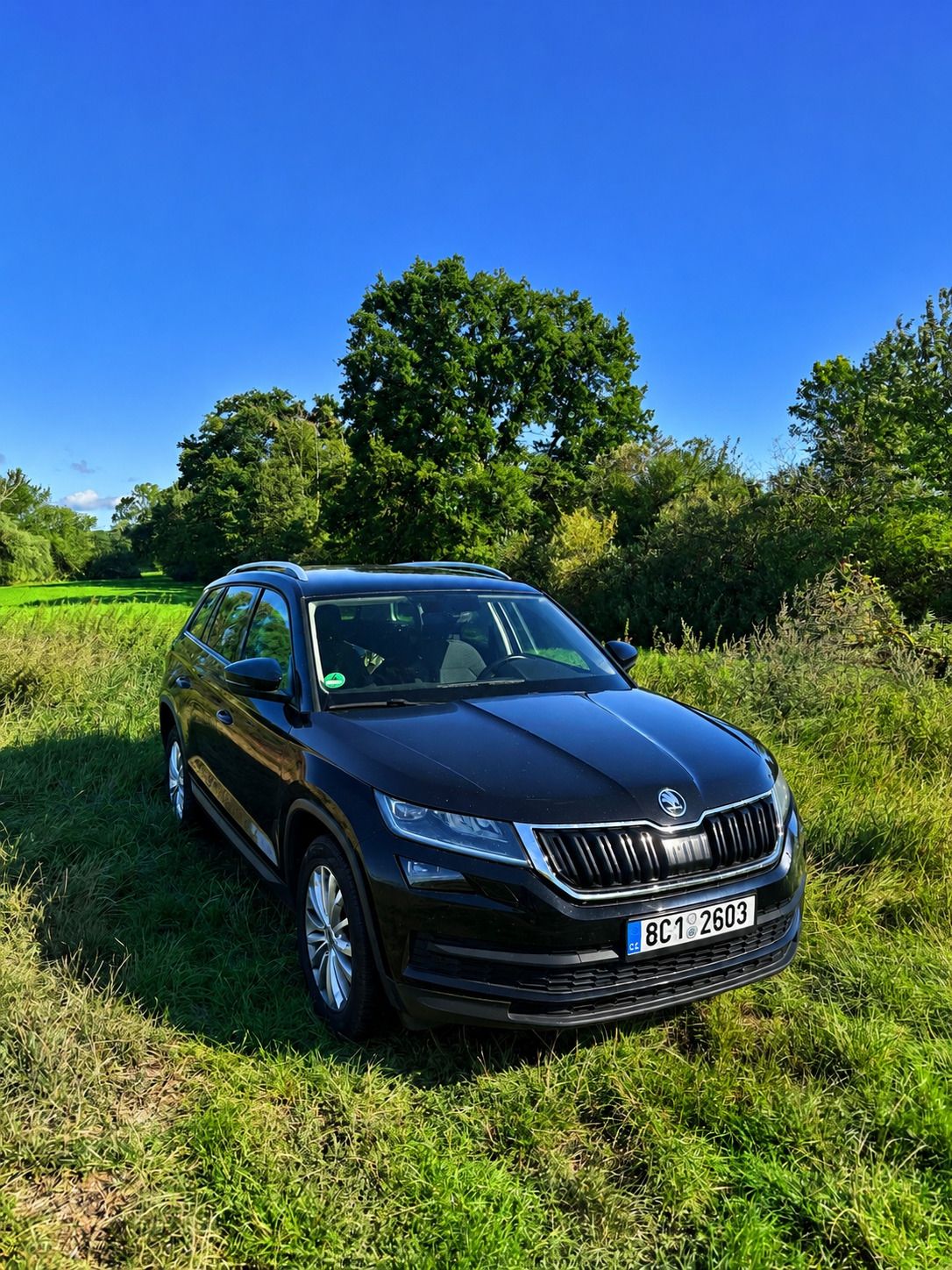 Škoda Kodiaq, 4x4, 110kW, tažné