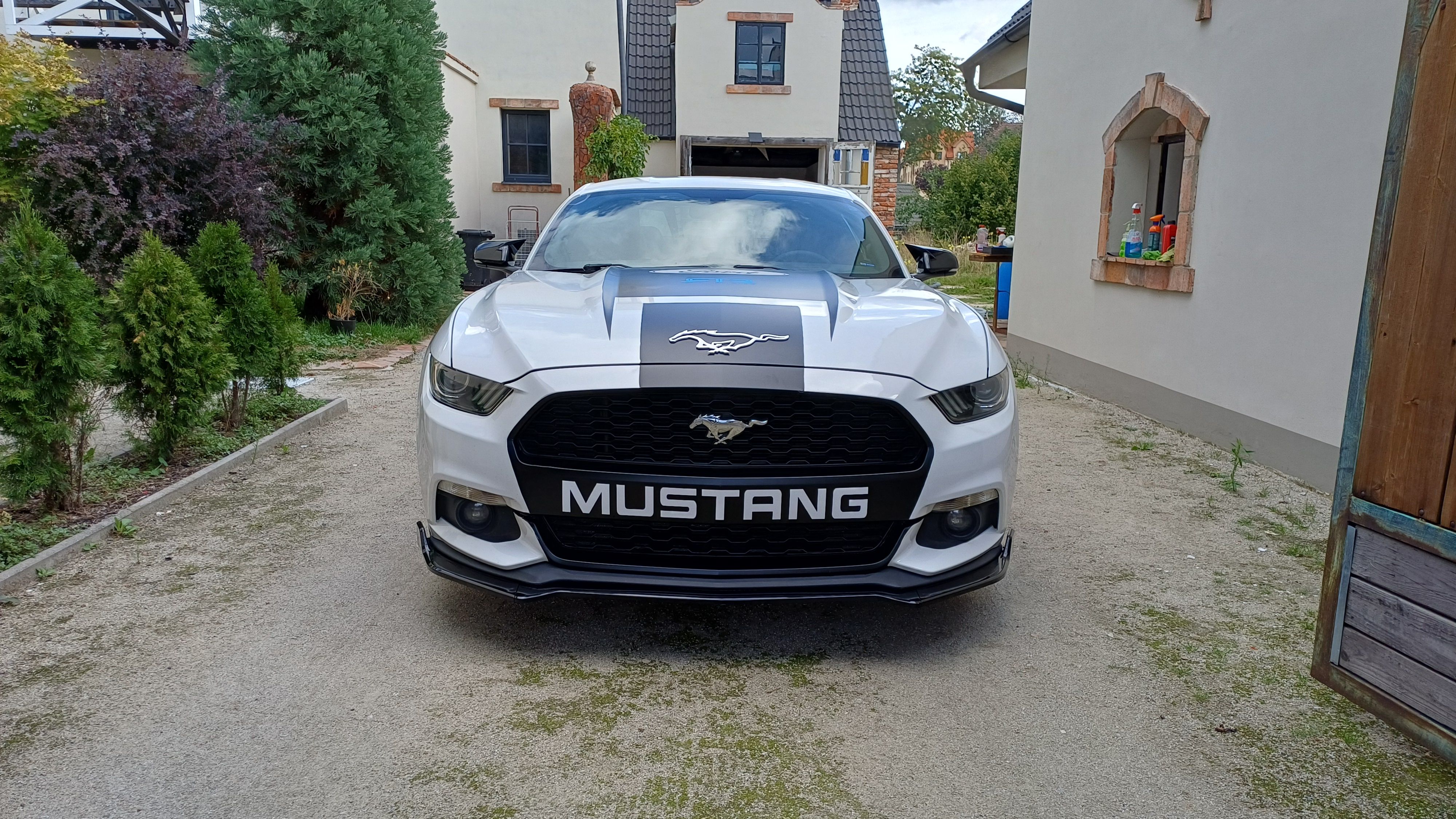 Ford Mustang, 3,7 , V6, automat,pěkný kus - fotka 4
