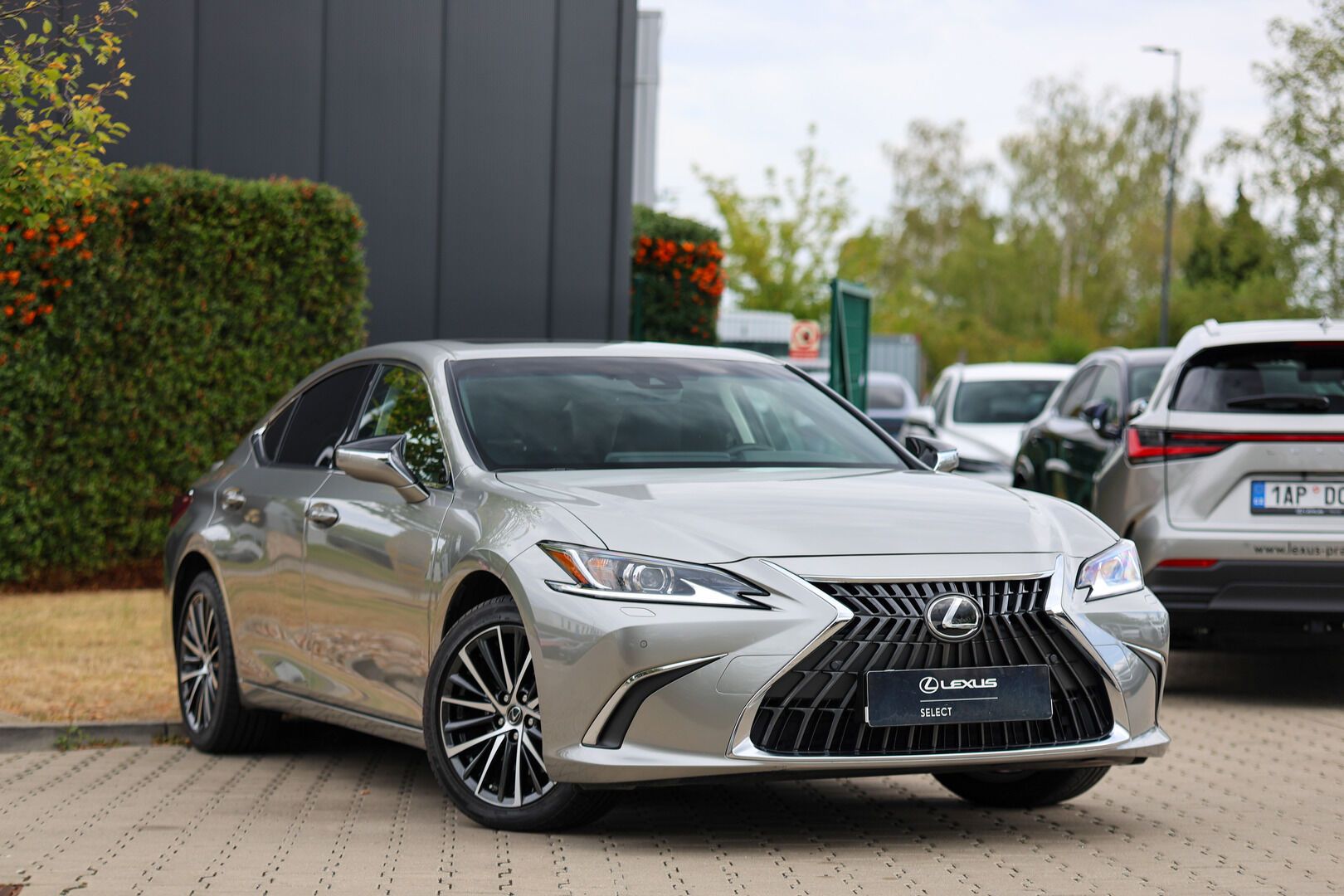 Lexus ES 300h, 300H 2,5 HEV BUSINESS EDITION - fotka 2