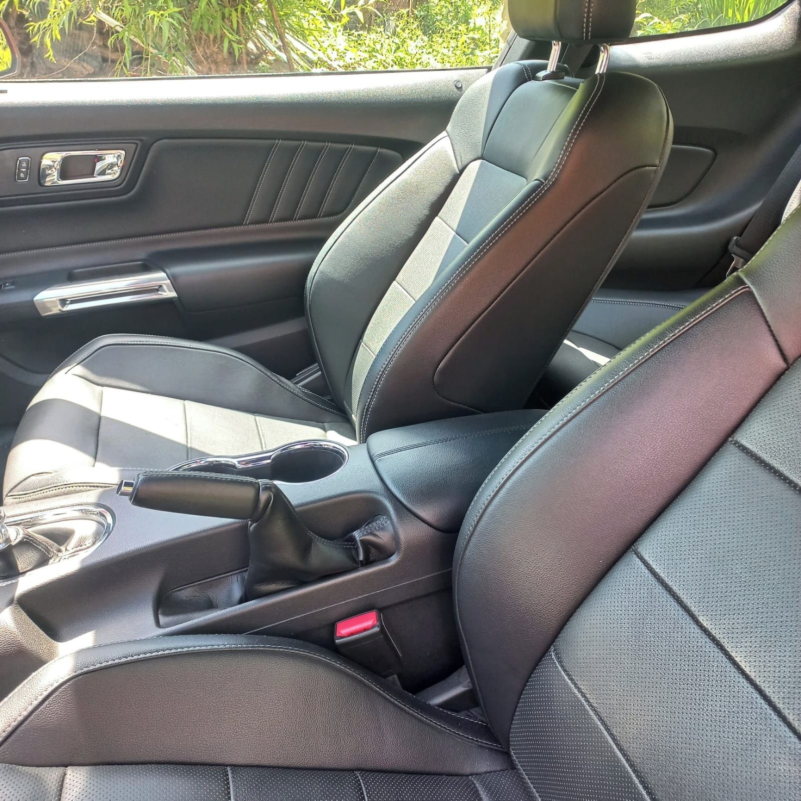 Ford Mustang, Ford Mustang 5.0 - fotka 2