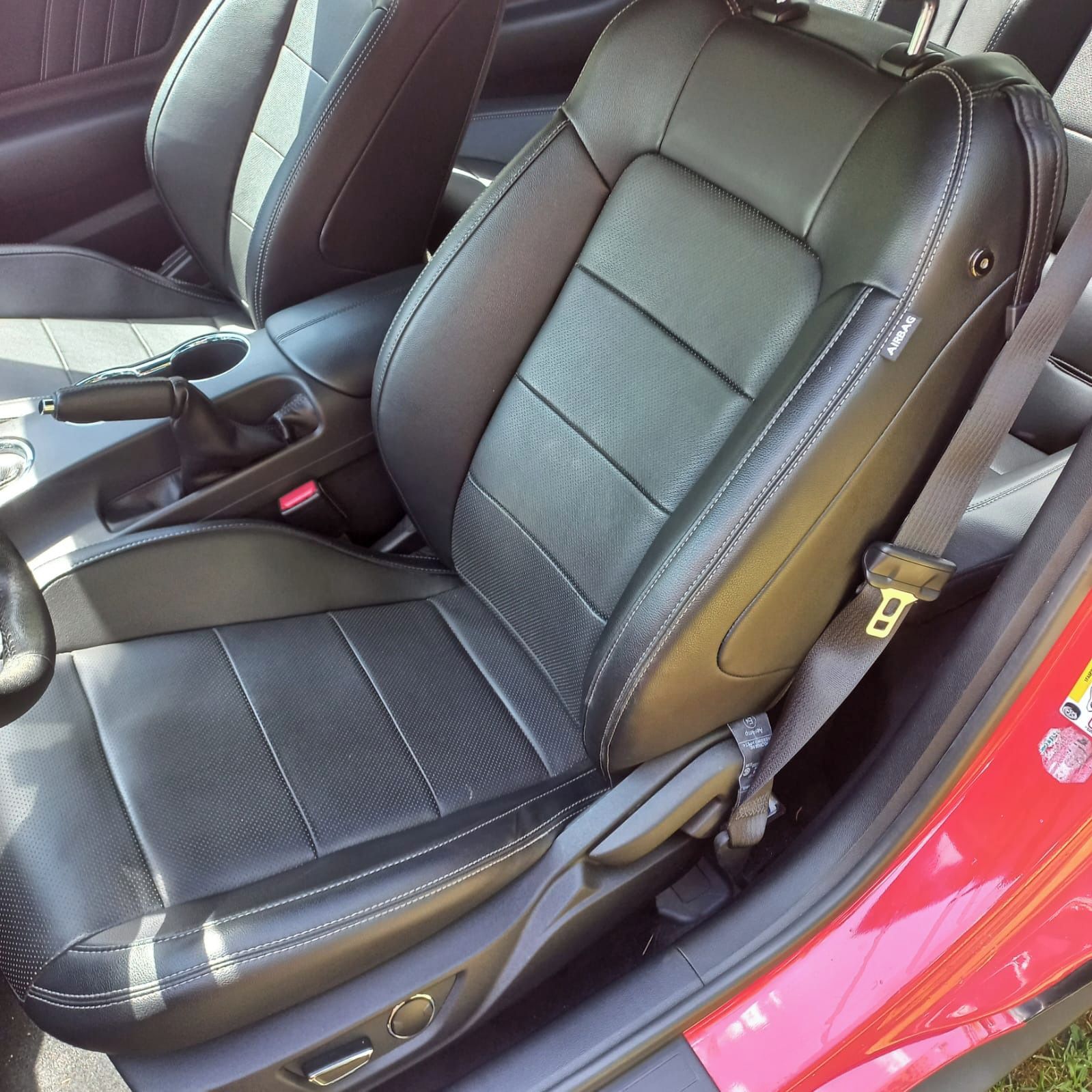 Ford Mustang, Ford Mustang 5.0 - fotka 4