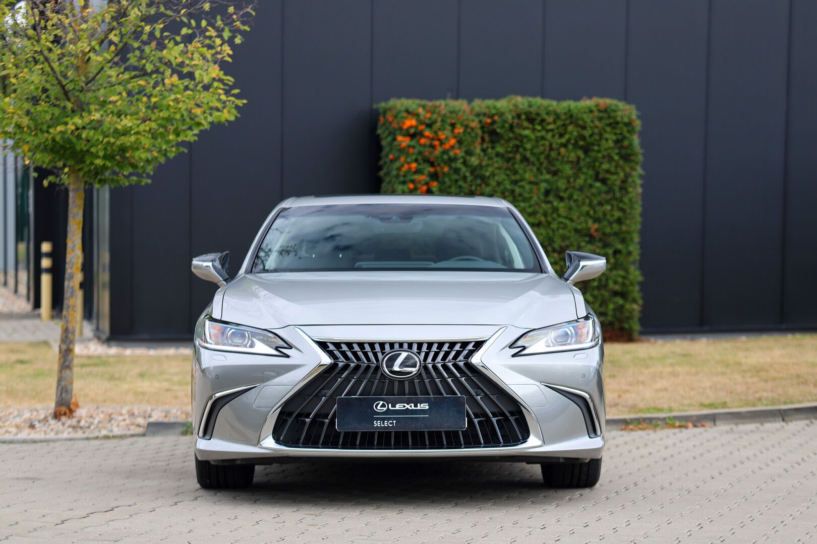 Lexus ES 300h, 300H 2,5 HEV BUSINESS EDITION - fotka 3