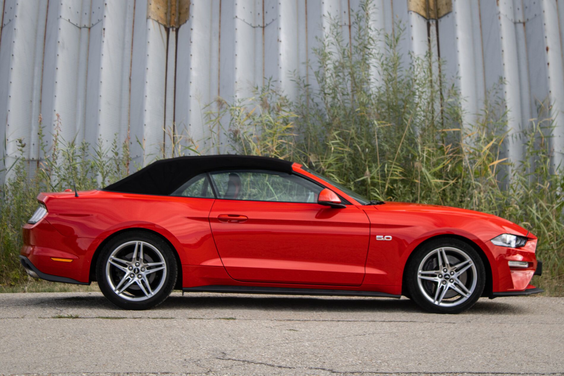 Ford Mustang - fotka 4