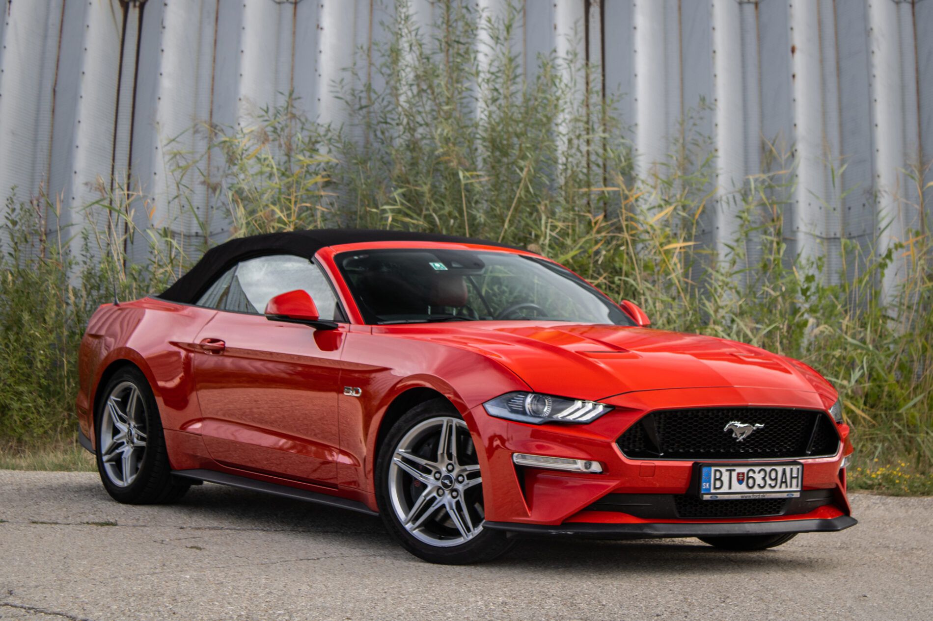 Ford Mustang - fotka 3
