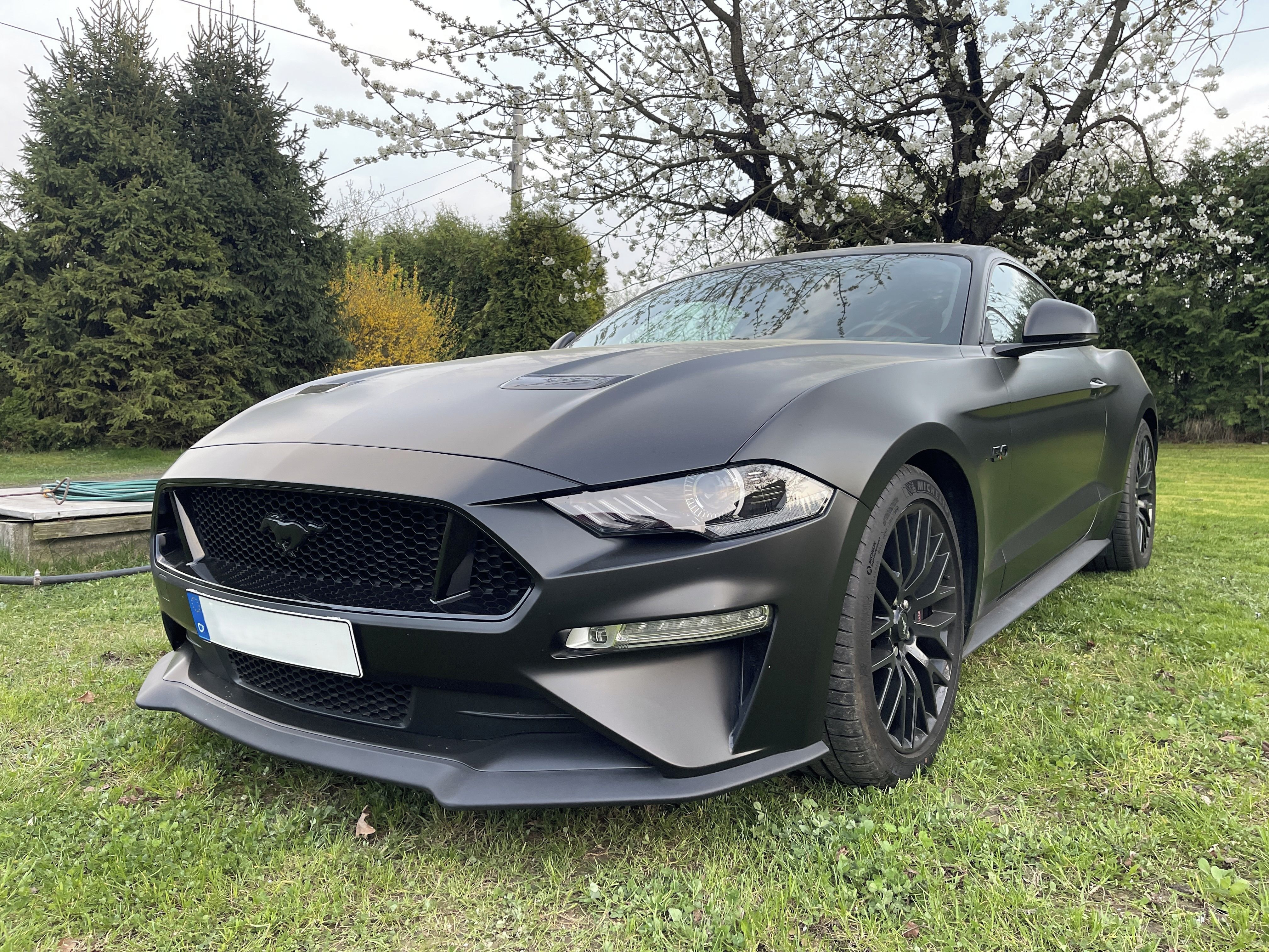 Ford Mustang, 5.0 V8 GT Magneride, EU, DPH - fotka 6