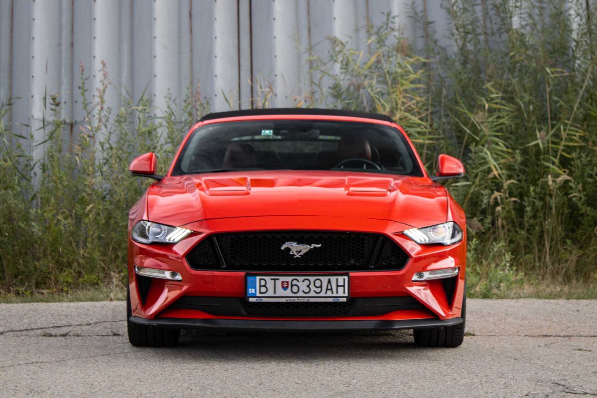 Ford Mustang - fotka 2
