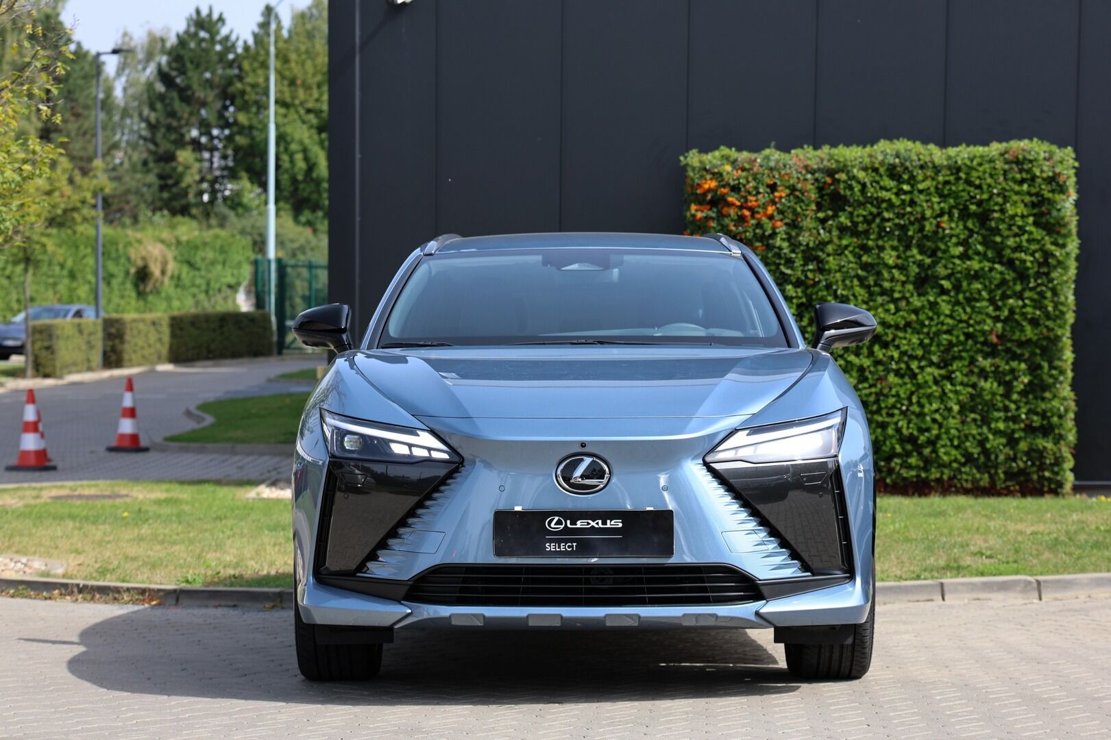 Lexus RZ 450e, 450e LUXURY DIRECT4 - fotka 3