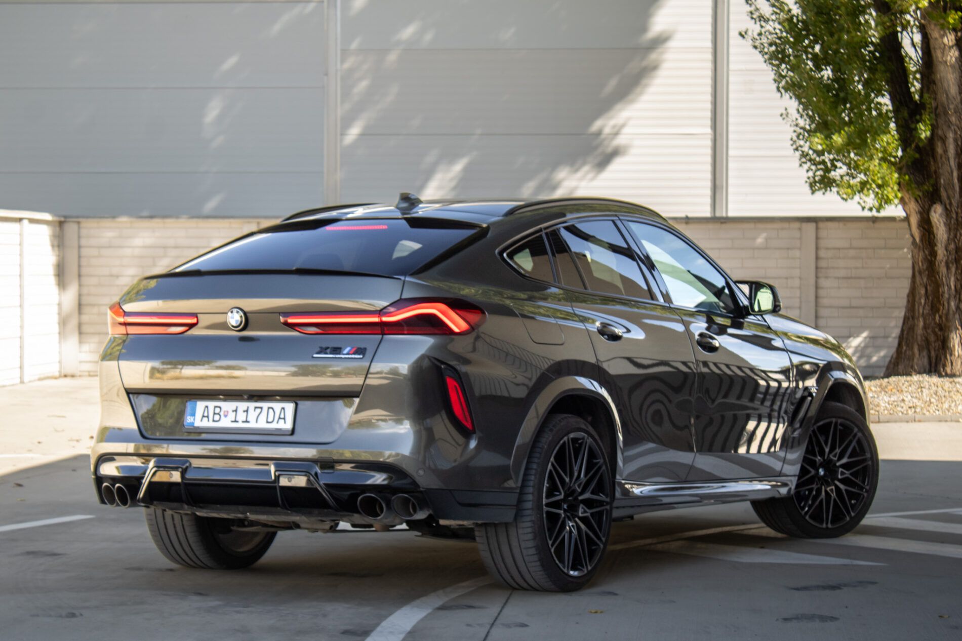 BMW X6 - fotka 5