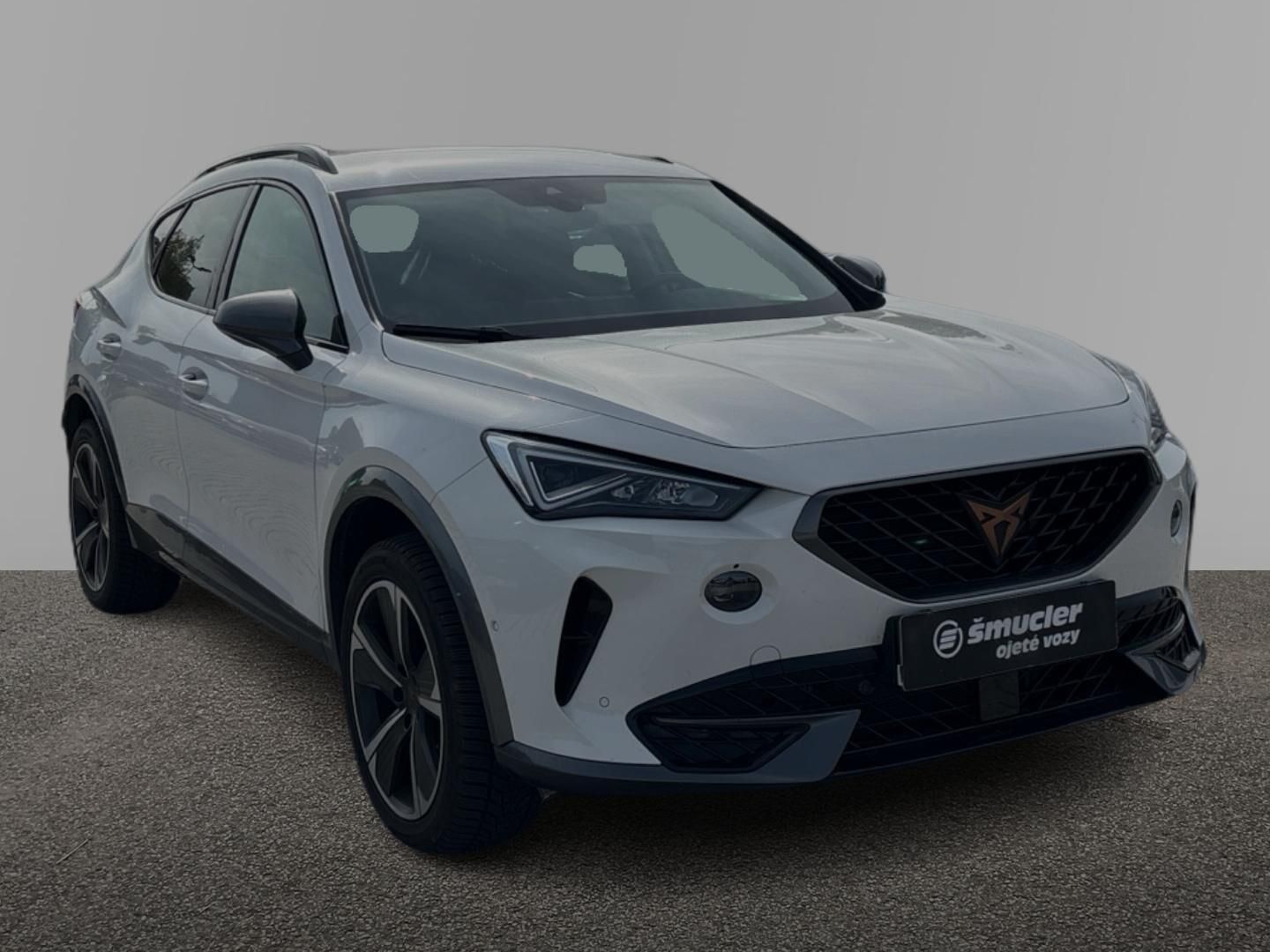 Cupra Formentor, 1.5 TSI / 110 kW DSG - fotka 3