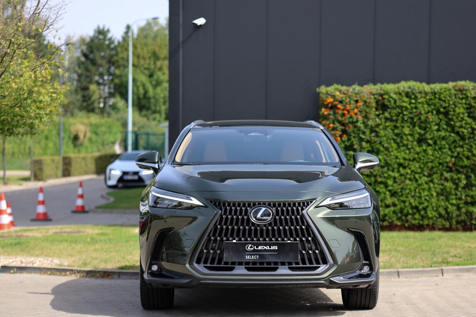 Lexus NX 350h, 350H 2,5 HEV PRESTIGE - fotka 3