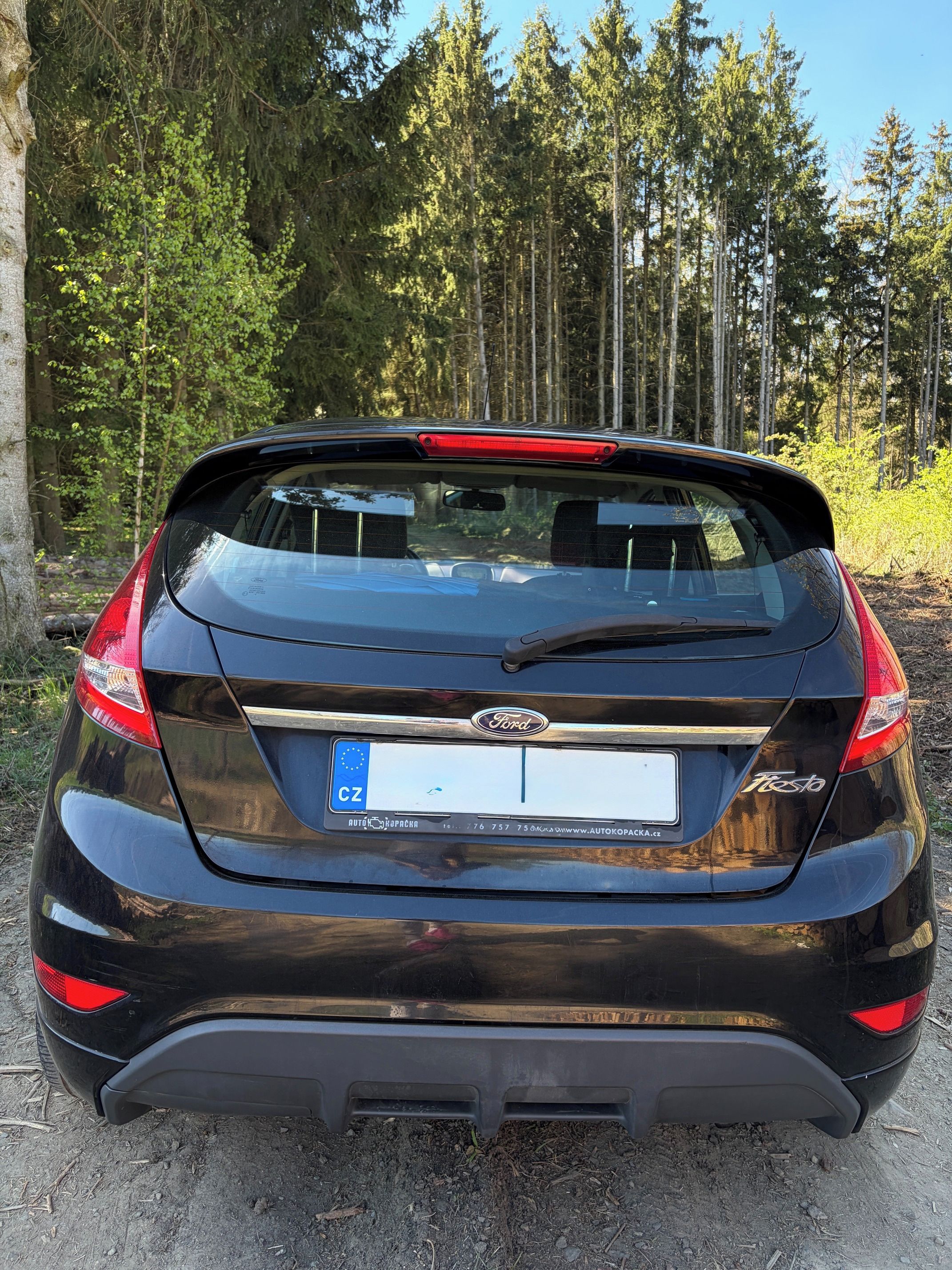 Ford Fiesta, Ford Fiesta 1.25i 16V 60kW - fotka 3