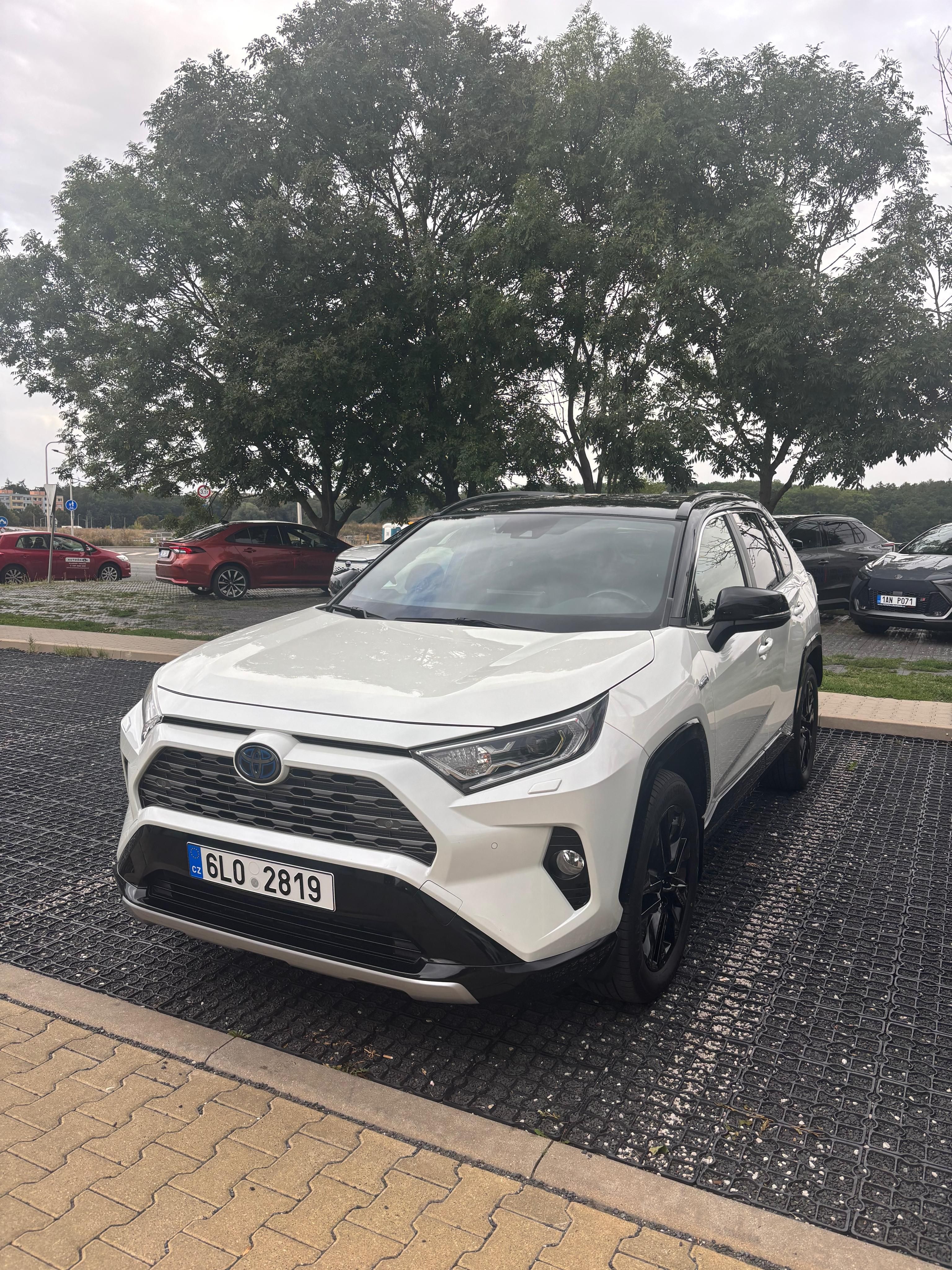 Toyota Rav4, Selection 4x4 top stav, servis - fotka 2