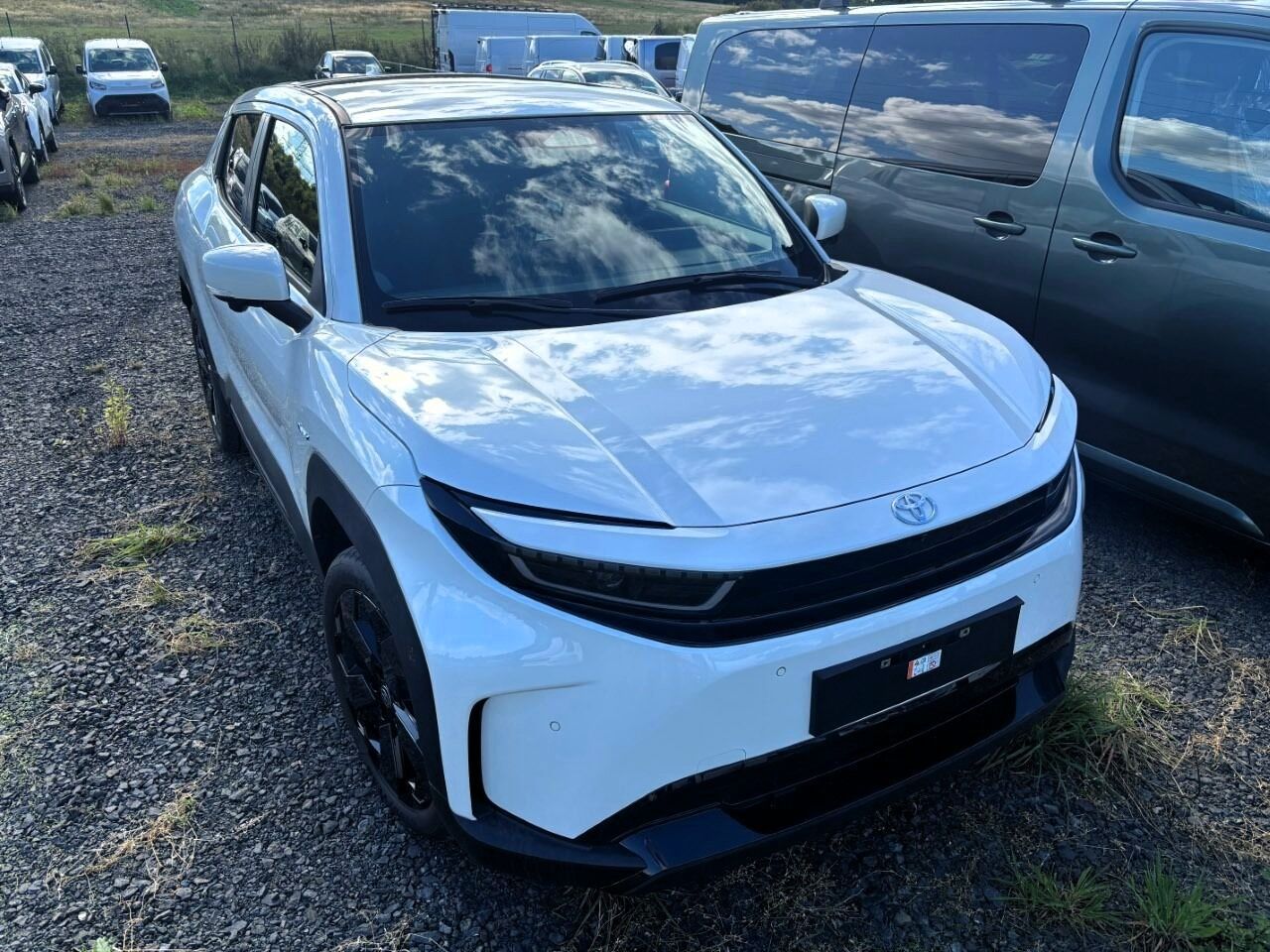 Toyota Urban Cruiser, Executive