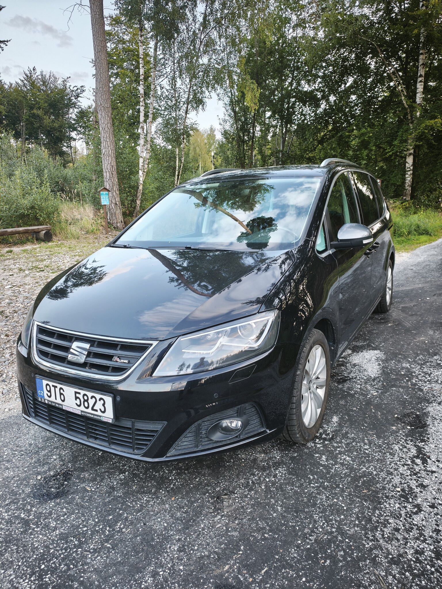 Seat Alhambra, SEAT Alhambra 2.0 TDI 110 kW - fotka 2