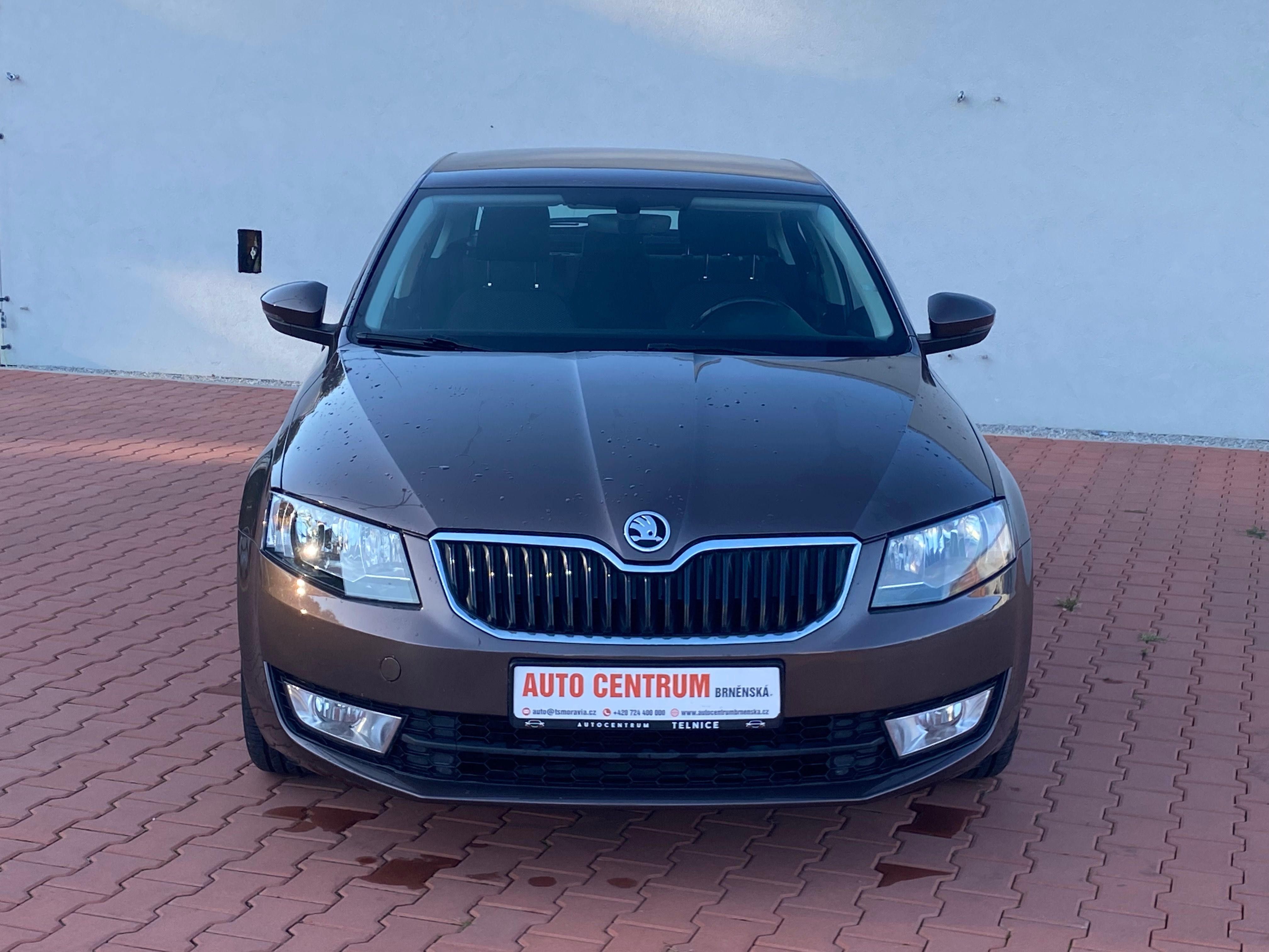 Škoda Octavia, 1.6 TDI 81 KW DIG.KlLIMA - fotka 2