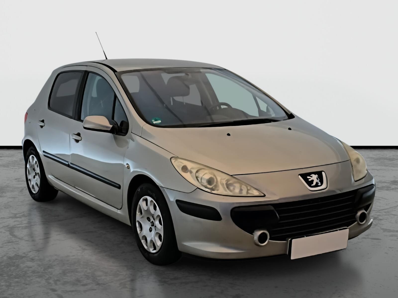 Peugeot 307, 1.6 16V, oblíbený vůz