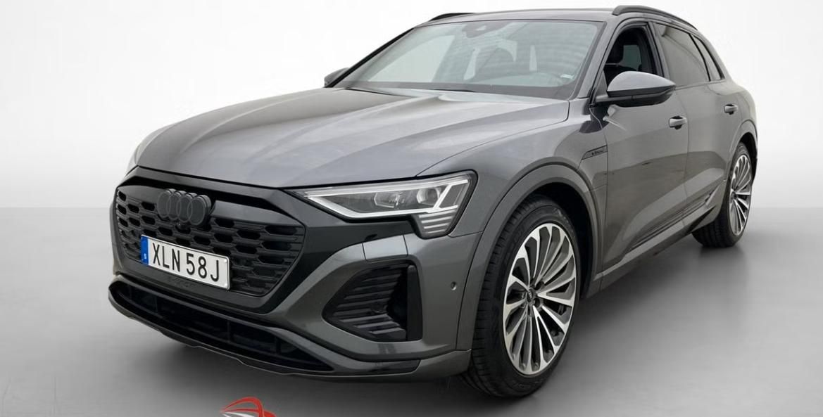 Audi Q8 e-tron, 55 Q 360k Matrix Vzduch Pano