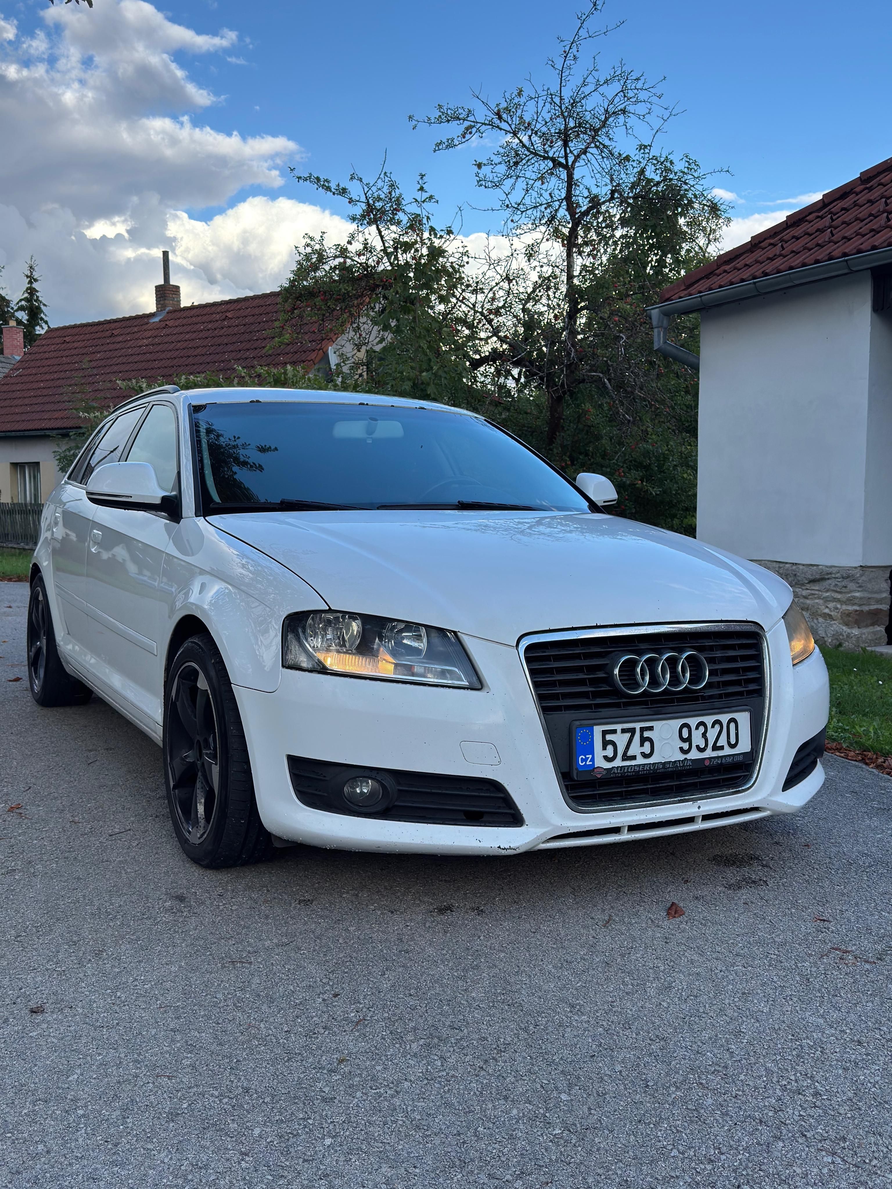 Audi A3, Audi A3 8P Sportback 2.0 TDI