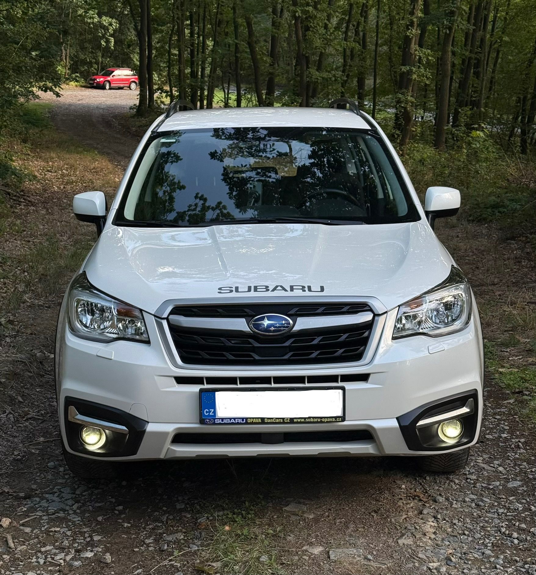 Subaru Forester, Subaru Forester 2,0 benzin - fotka 2