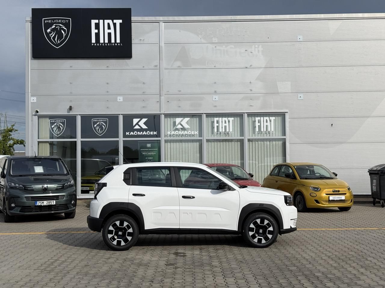 Fiat Grande Panda, Icon 1.2 Turbo Hybrid 110k eDC - fotka 6