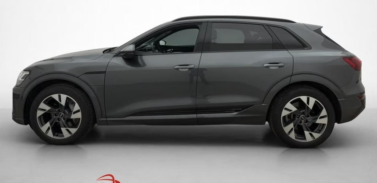 Audi Q8 e-tron, 55 Q SoH 96% 360k Pano Tažné - fotka 4