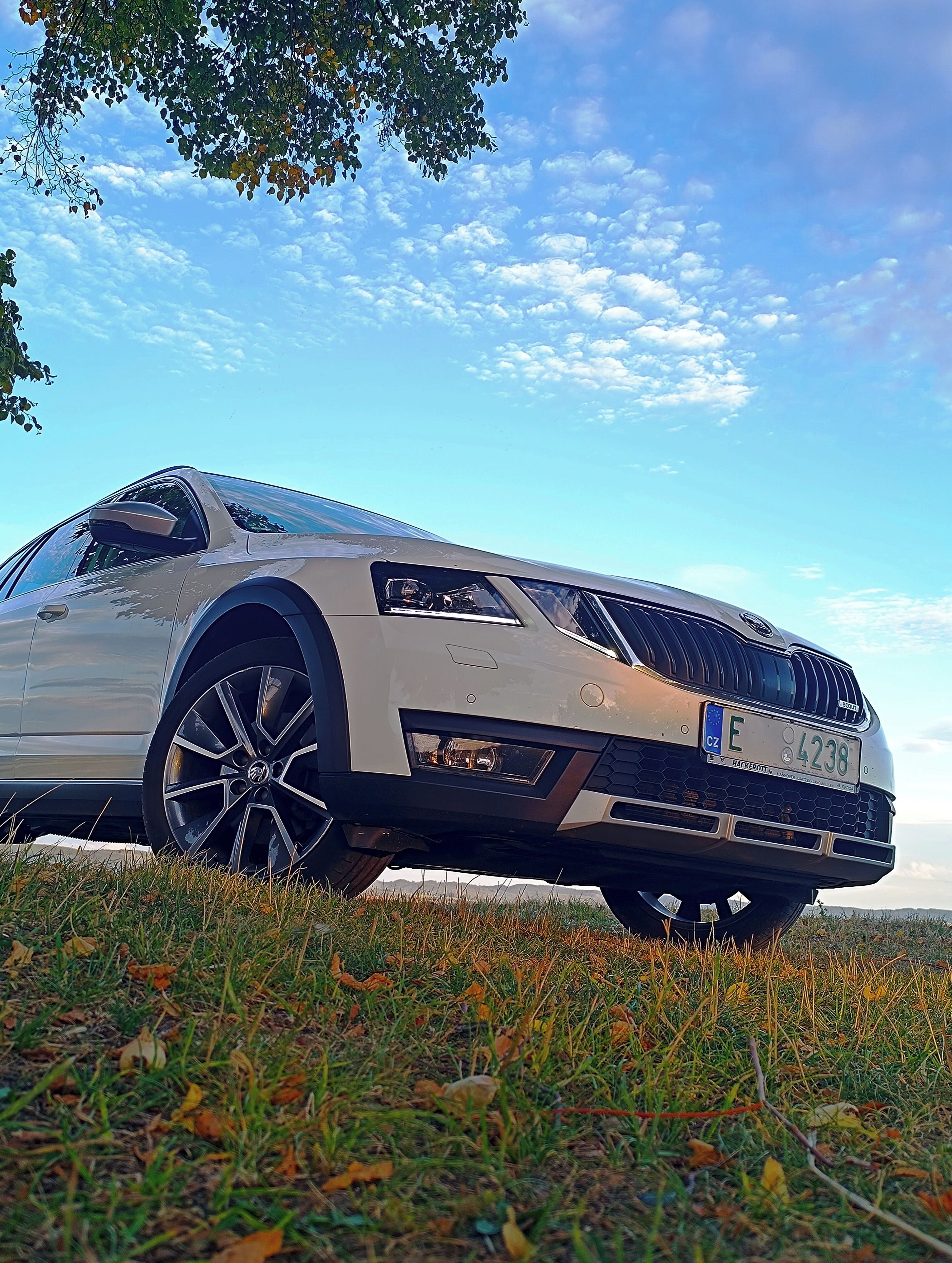 Škoda Octavia, 2.0Tdi 135kw Scout Elegance - fotka 3