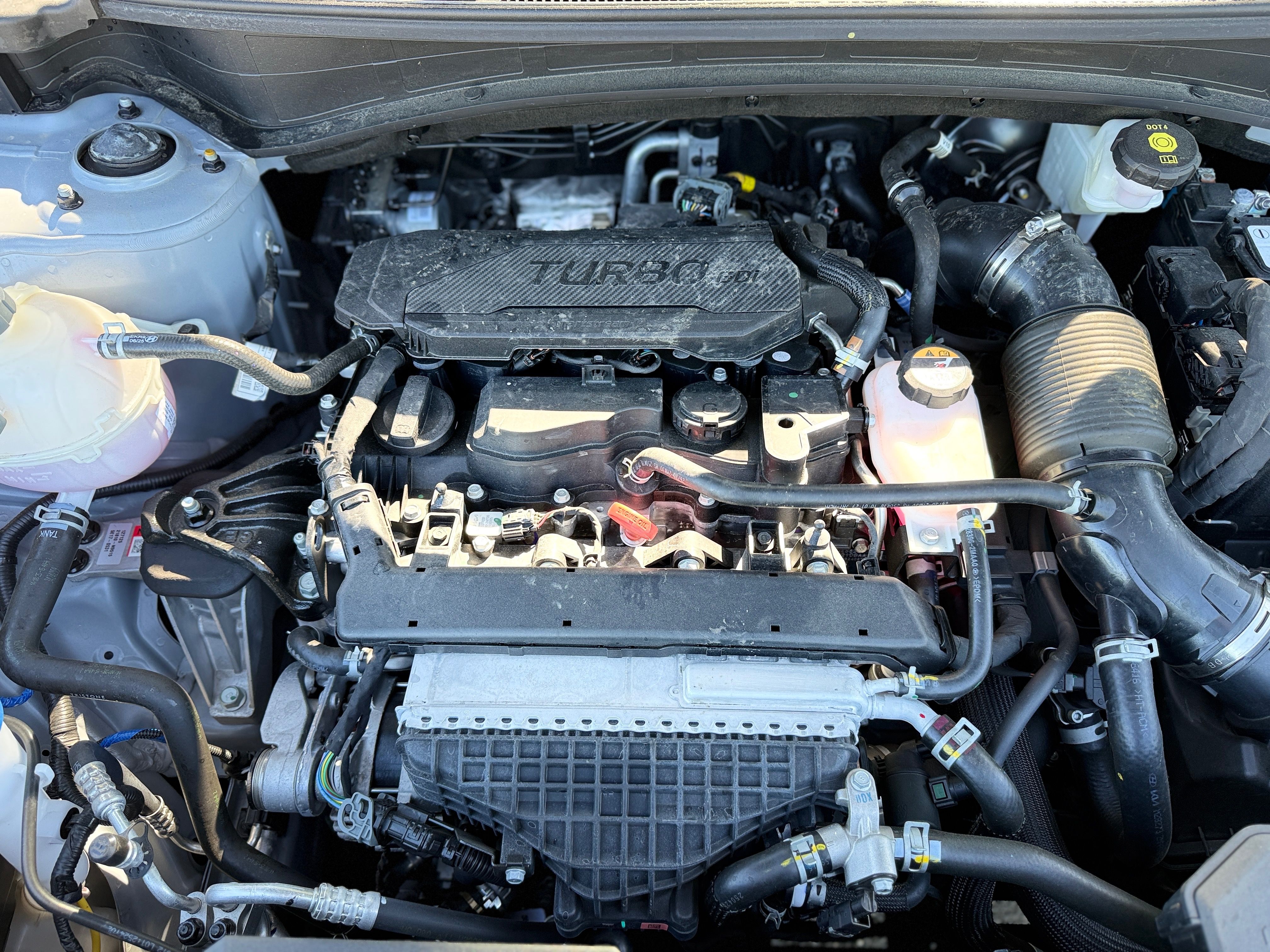 Kia Sportage, Kia Sportage 2026 - fotka 4